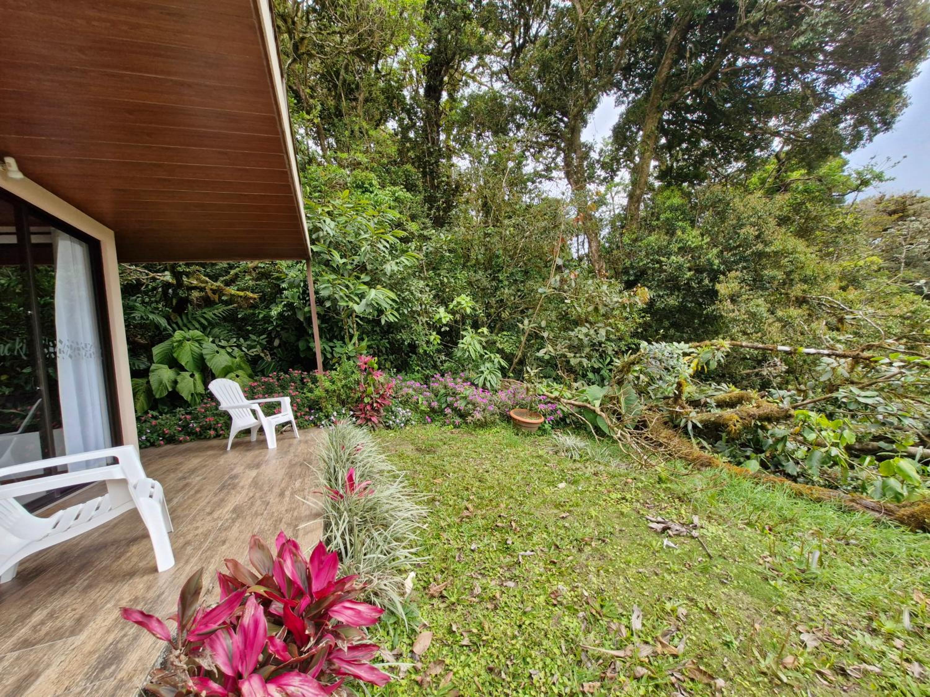 Standard Villa photo 3