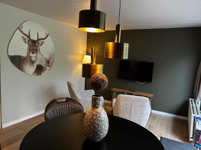 Suite - Photo 2