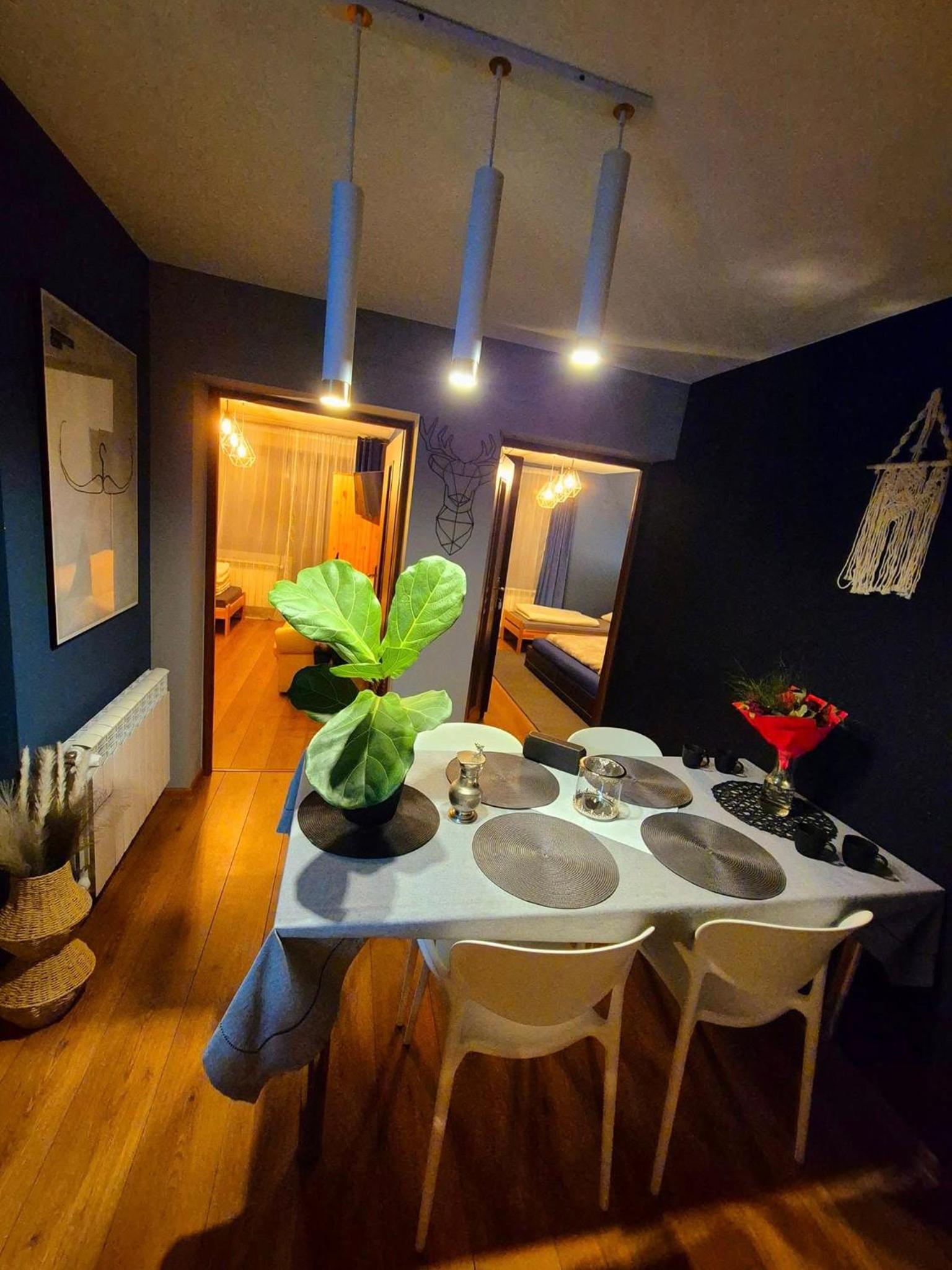 Family Two-Bedroom Apartment with View photo 2