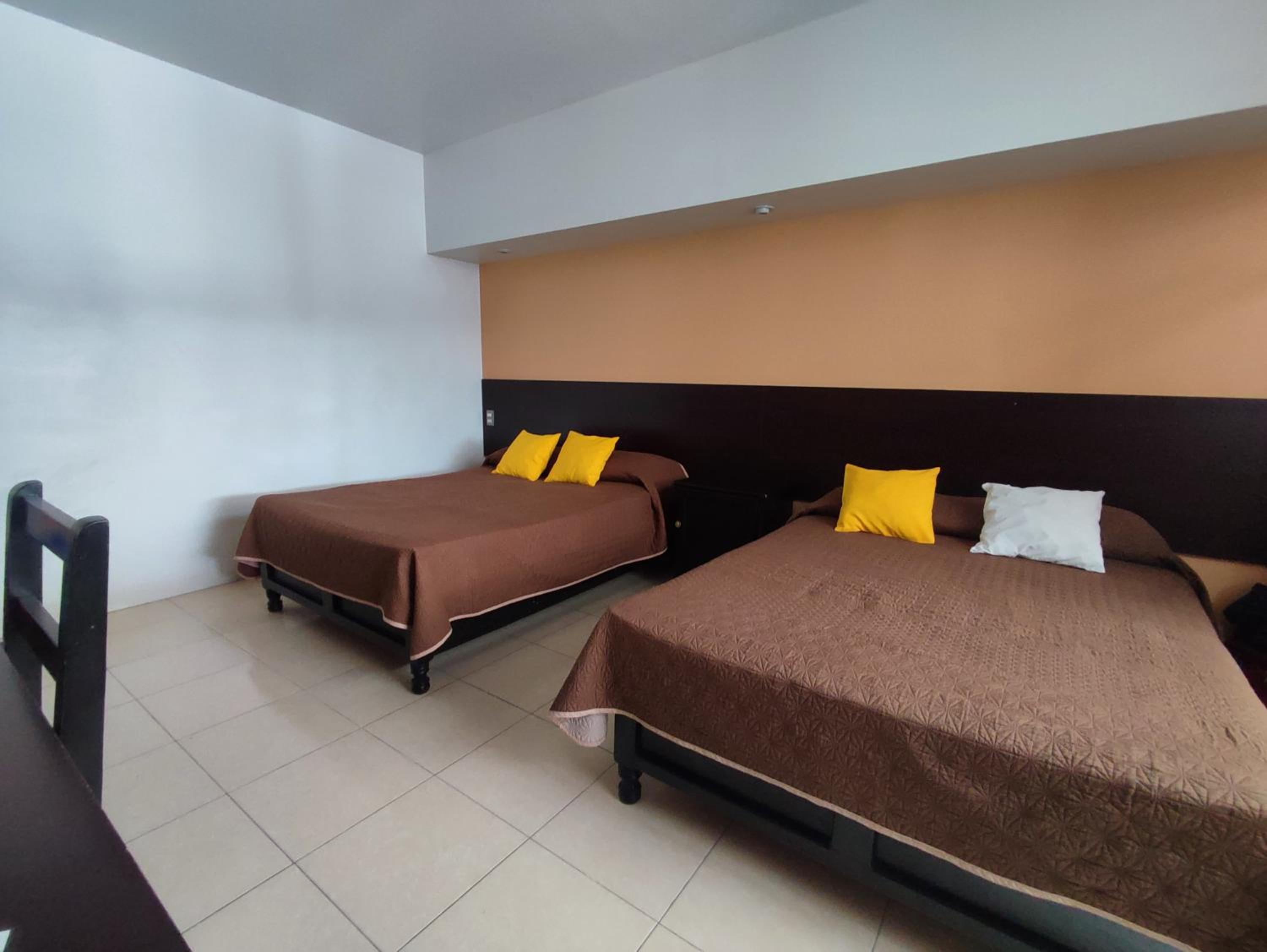 Deluxe Double or Twin Room photo 1