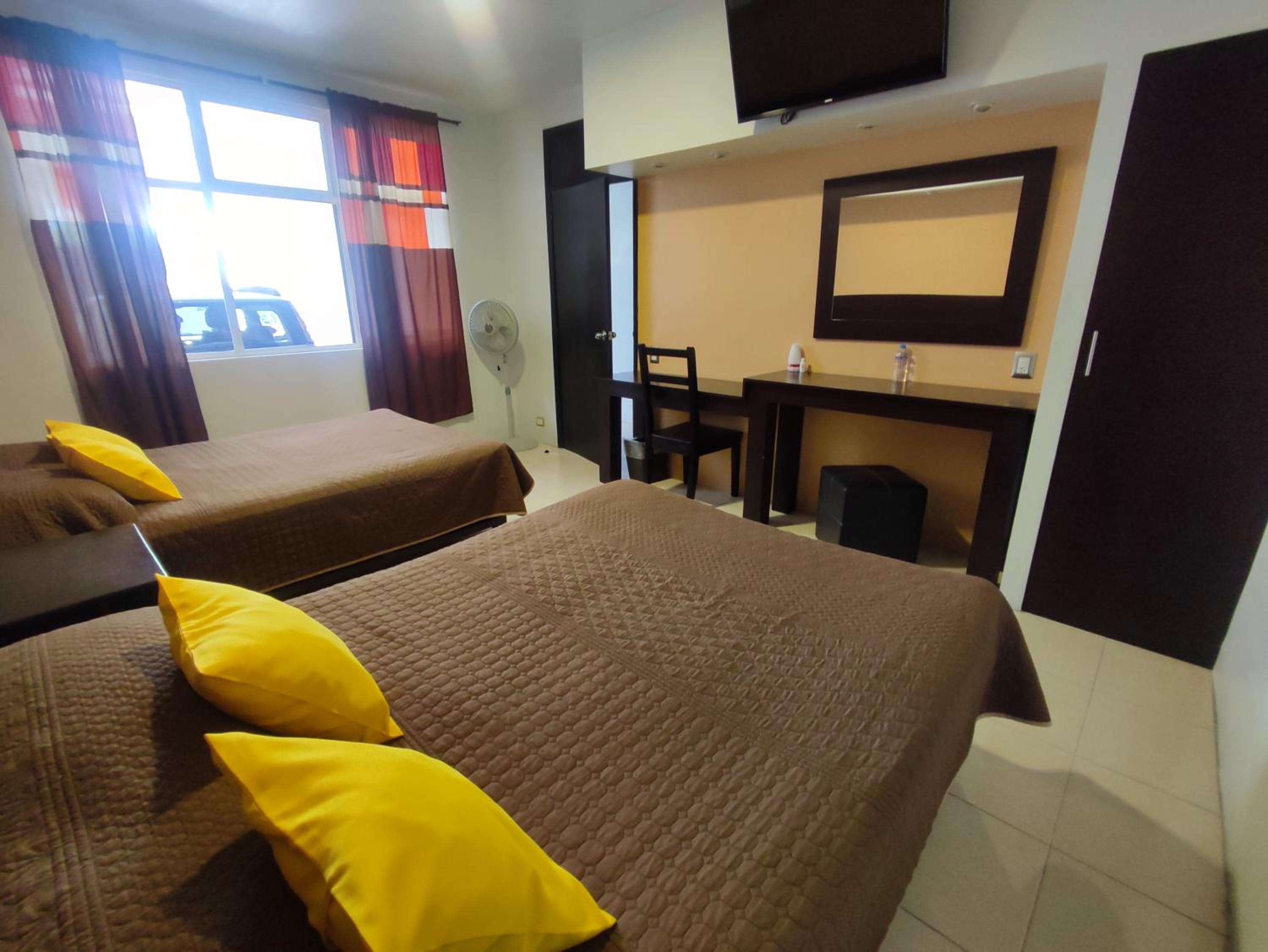 Deluxe Double or Twin Room photo 3