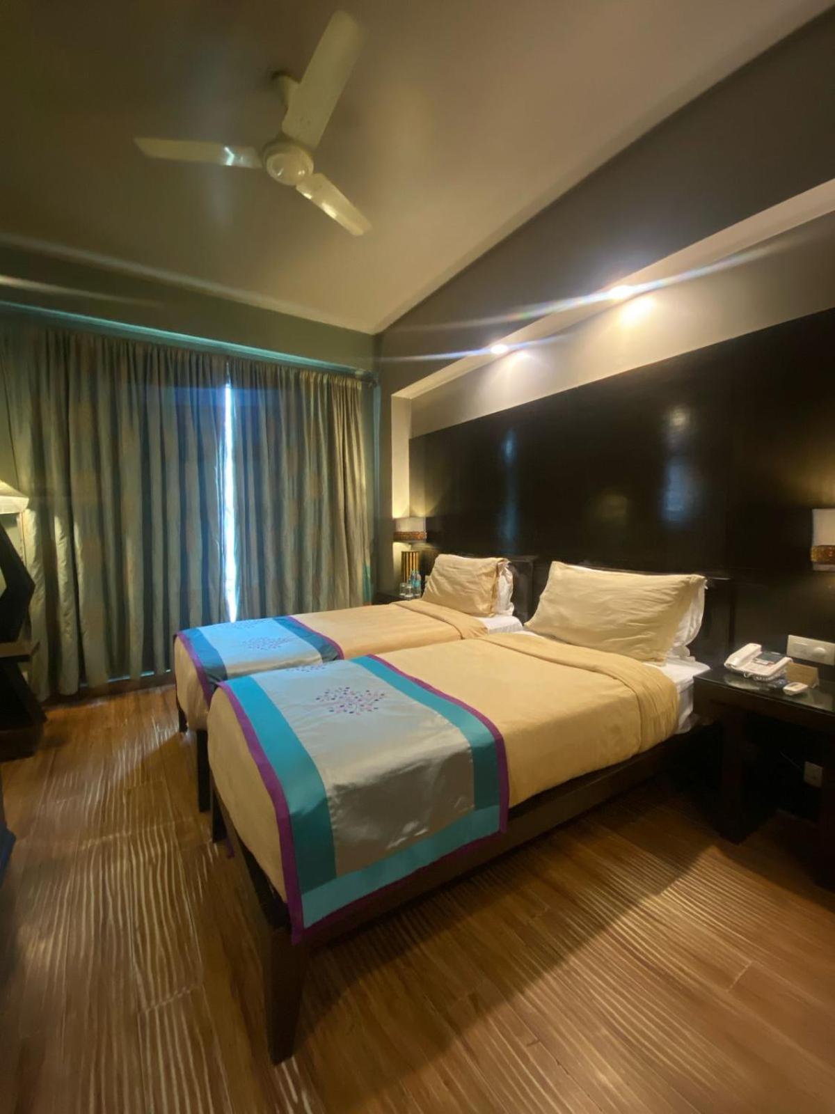 Superior Room photo 3