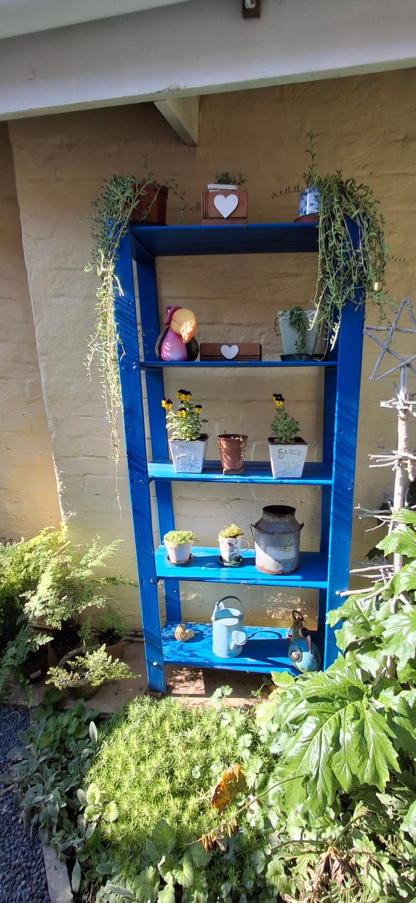 Single Room with Garden View photo 1