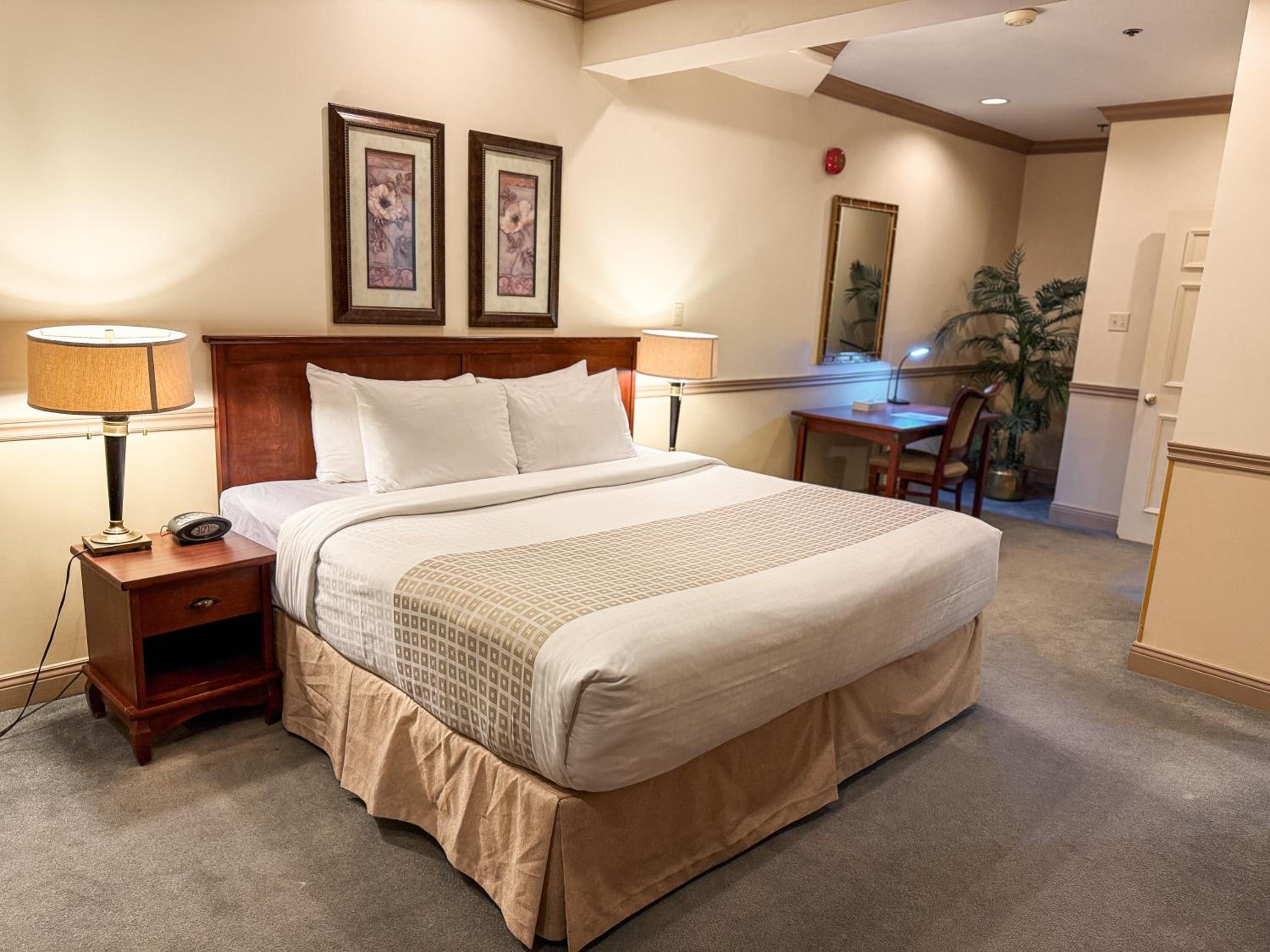 Executive Suite