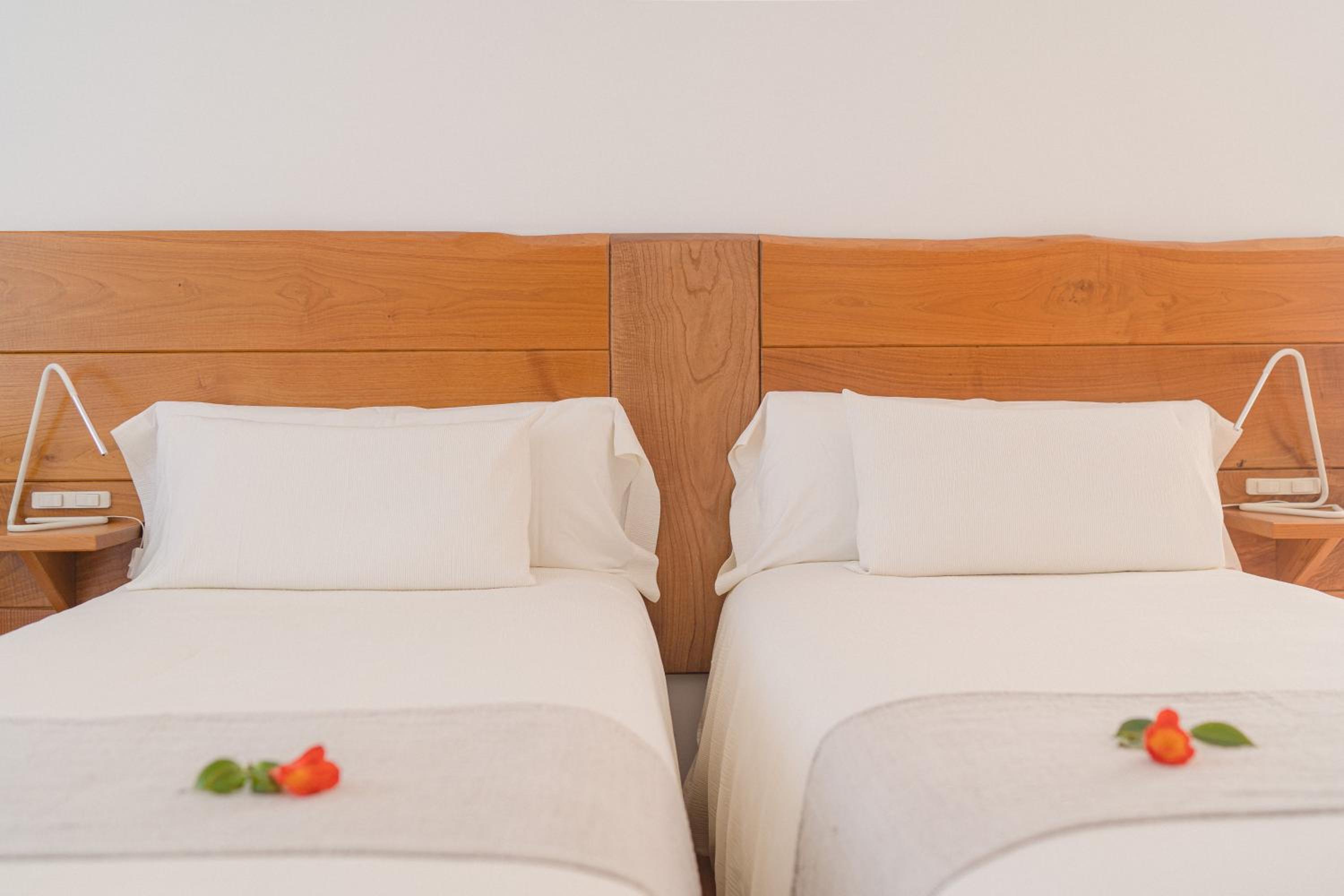 Double or Twin Room with Mountain View photo 3