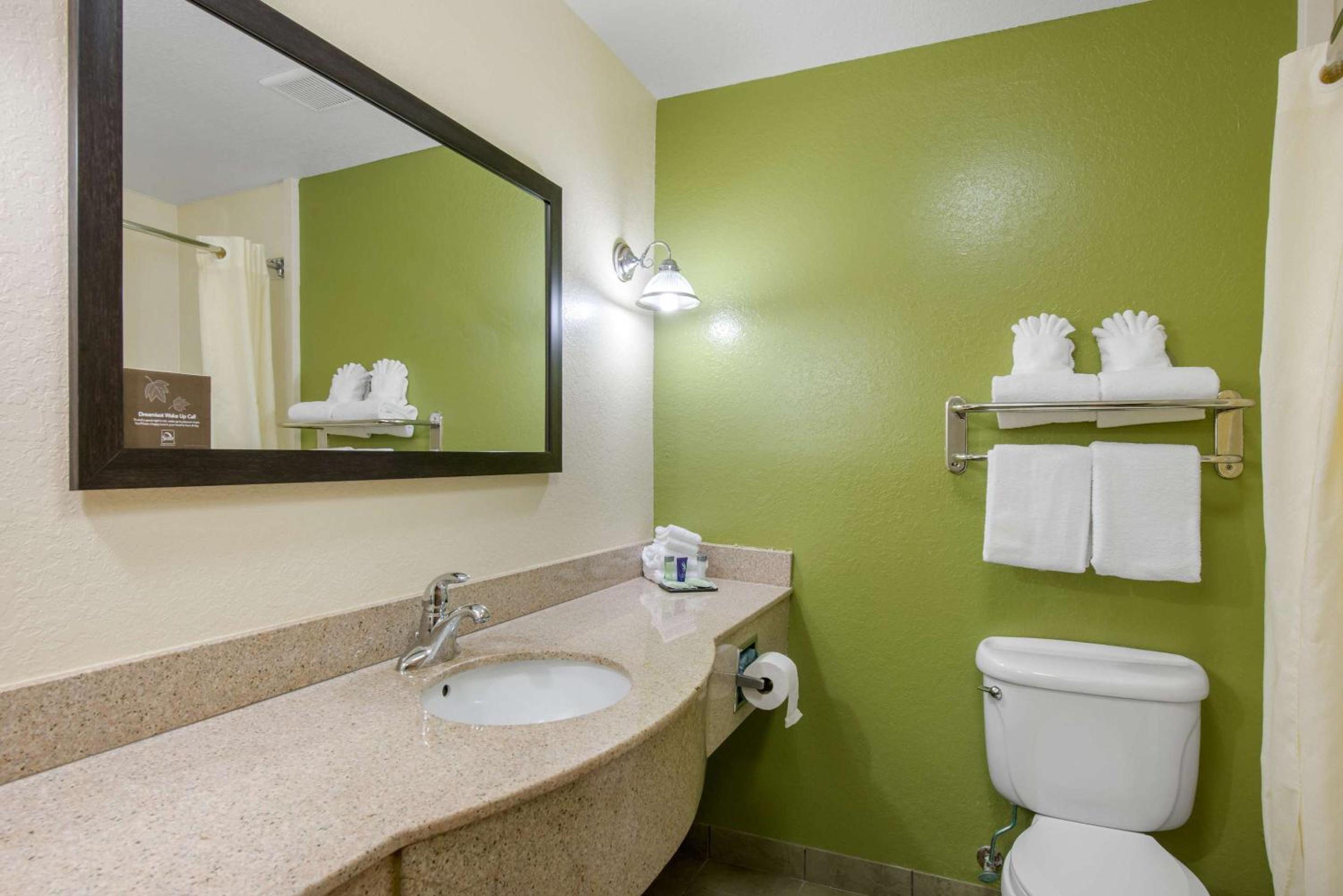 King Room with Roll-In Shower - Accessible/Non-Smoking - Photo 3