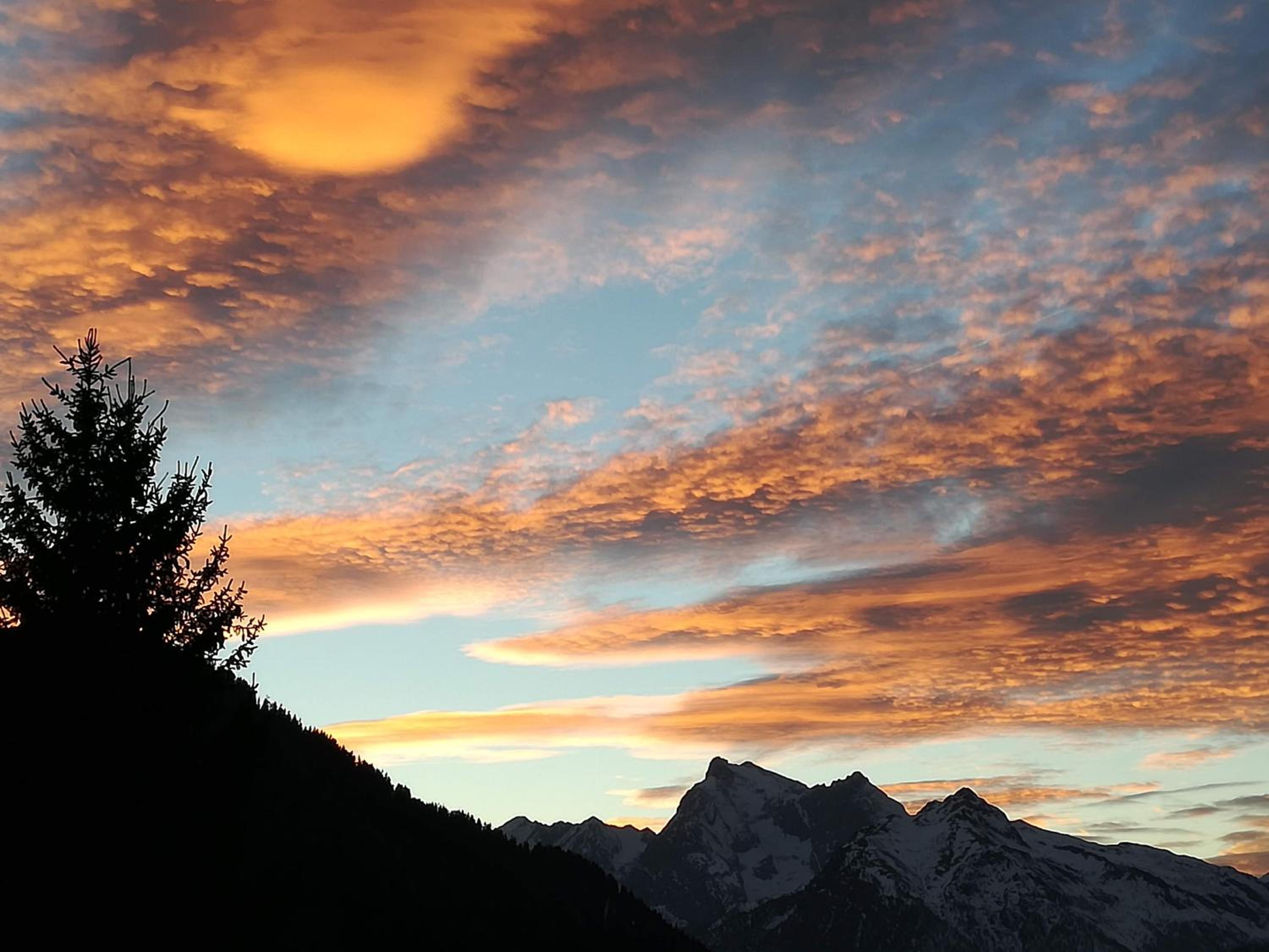 Superior Double or Twin Room with Mountain View