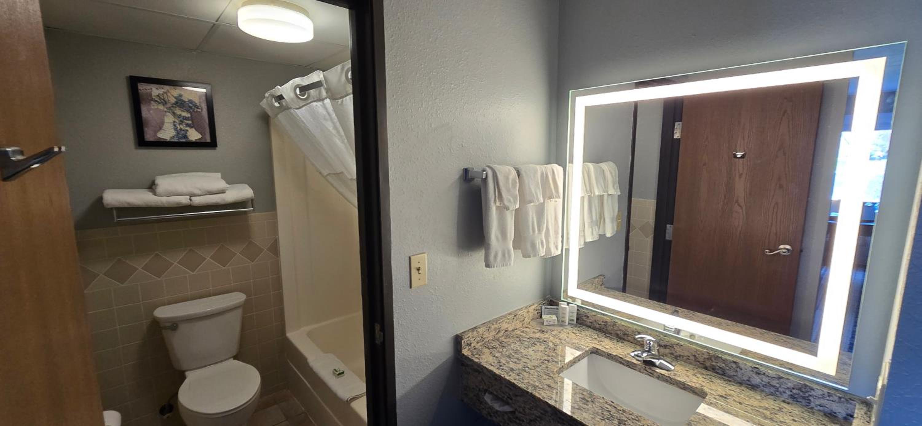 Deluxe Studio Suite with King Bed - Non-Smoking