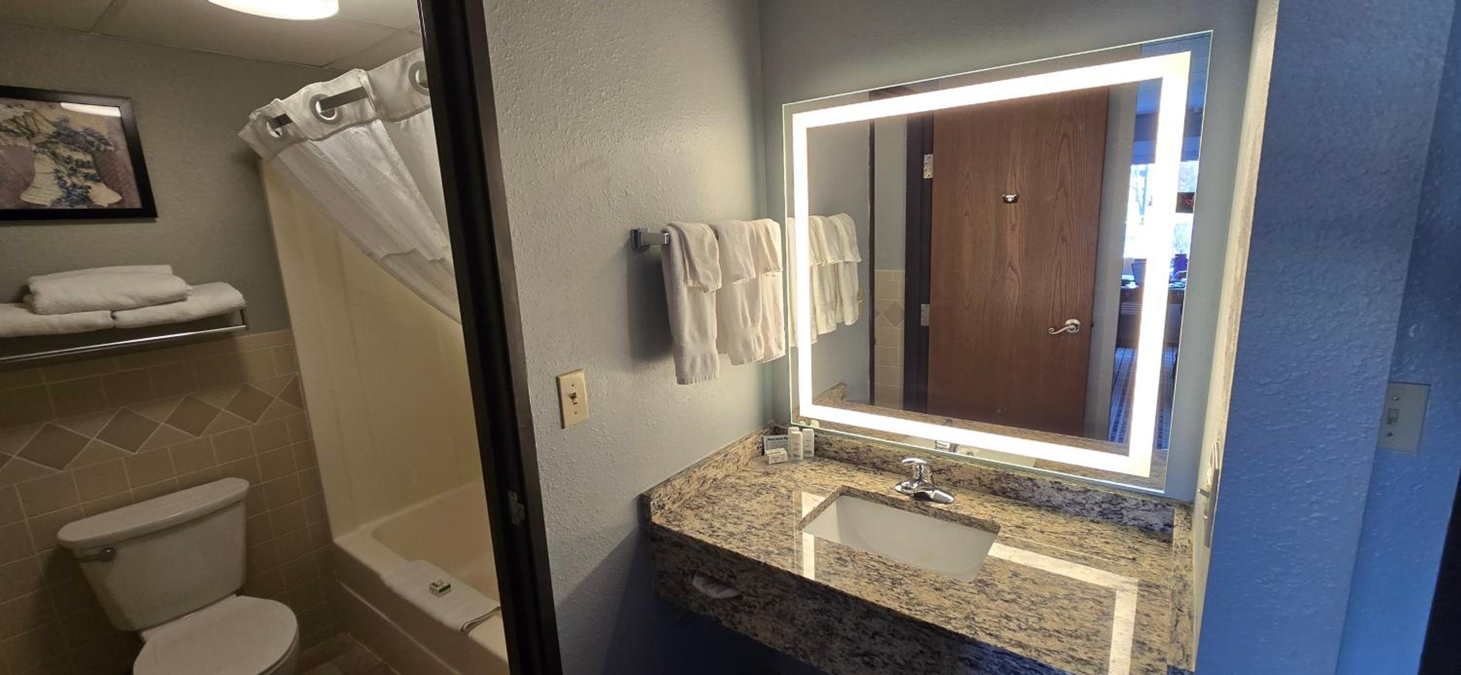 Deluxe Studio Suite with King Bed - Non-Smoking