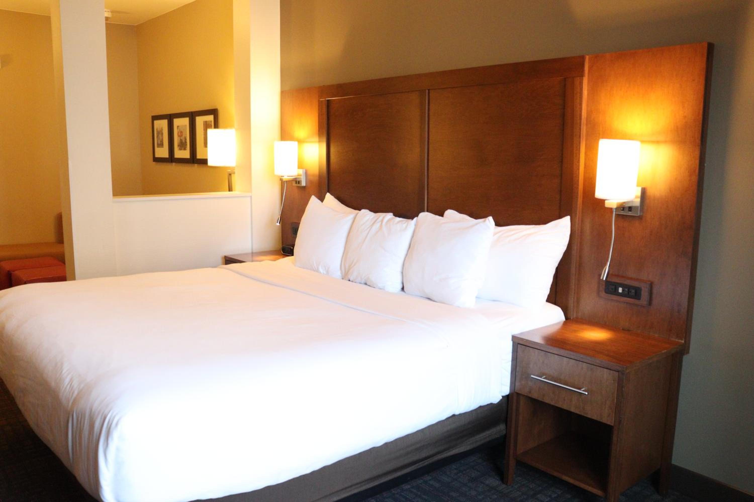 King Suite with Roll-In Shower - Accessible/Non-Smoking photo 2