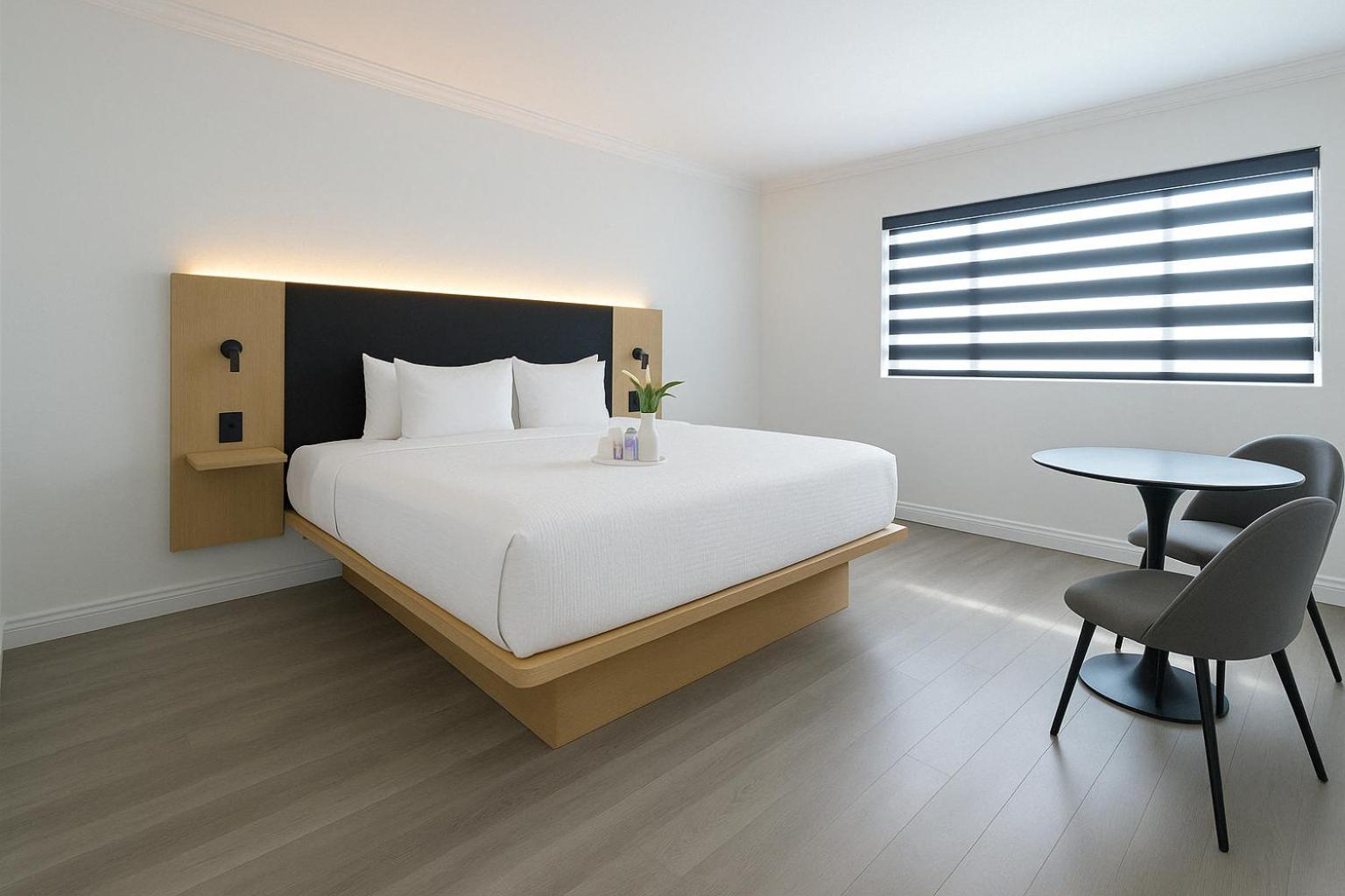 Deluxe 1 King Bed