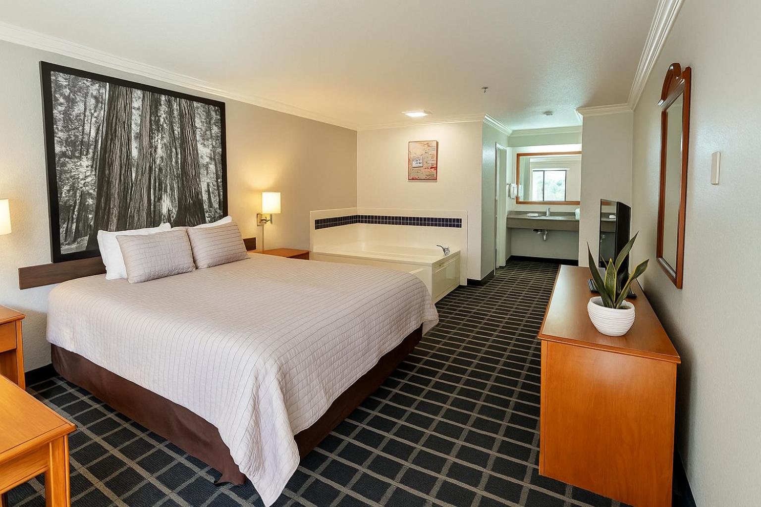 King Suite photo 3
