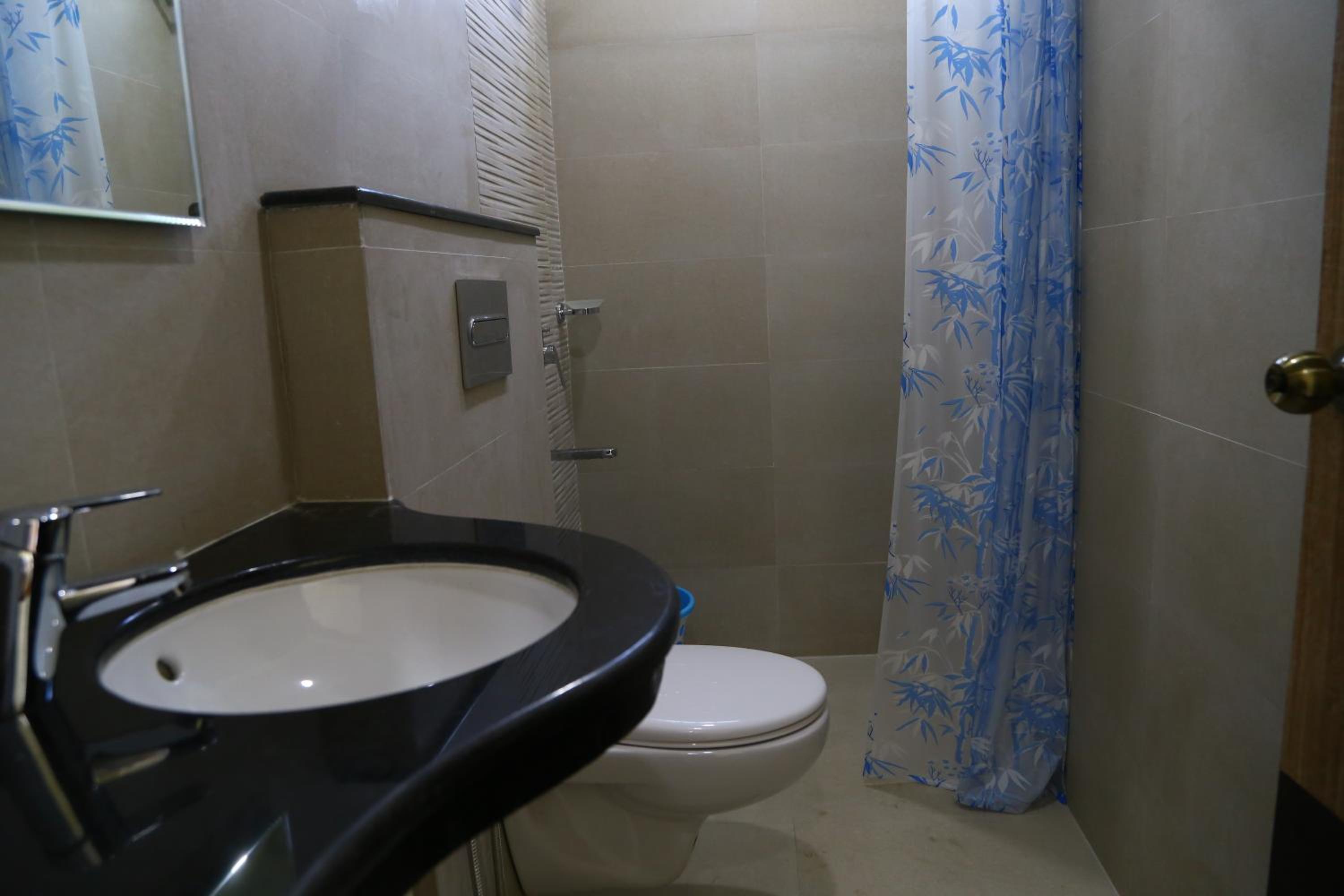 Deluxe Double or Twin Room photo 3