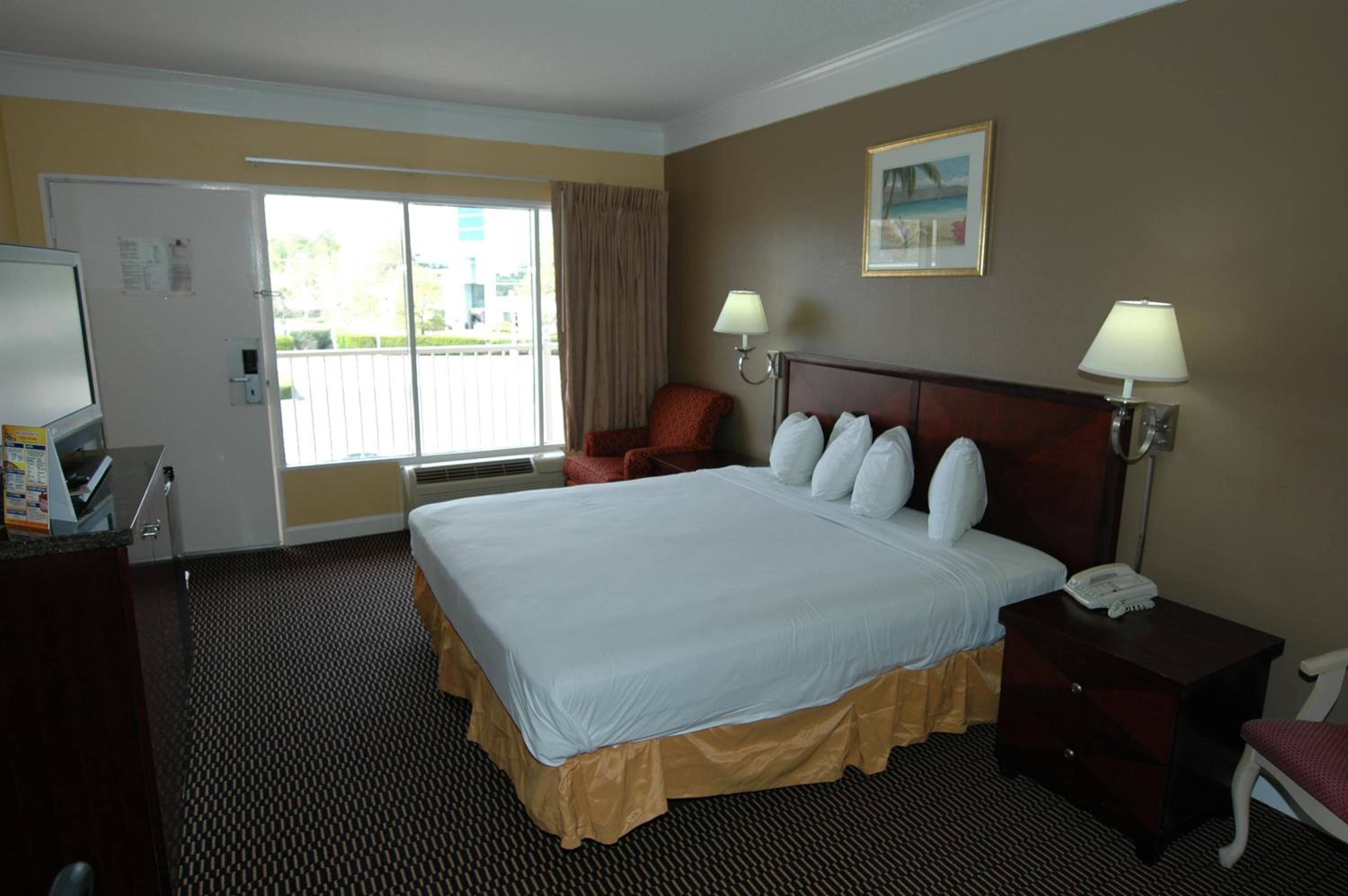 King Room photo 1