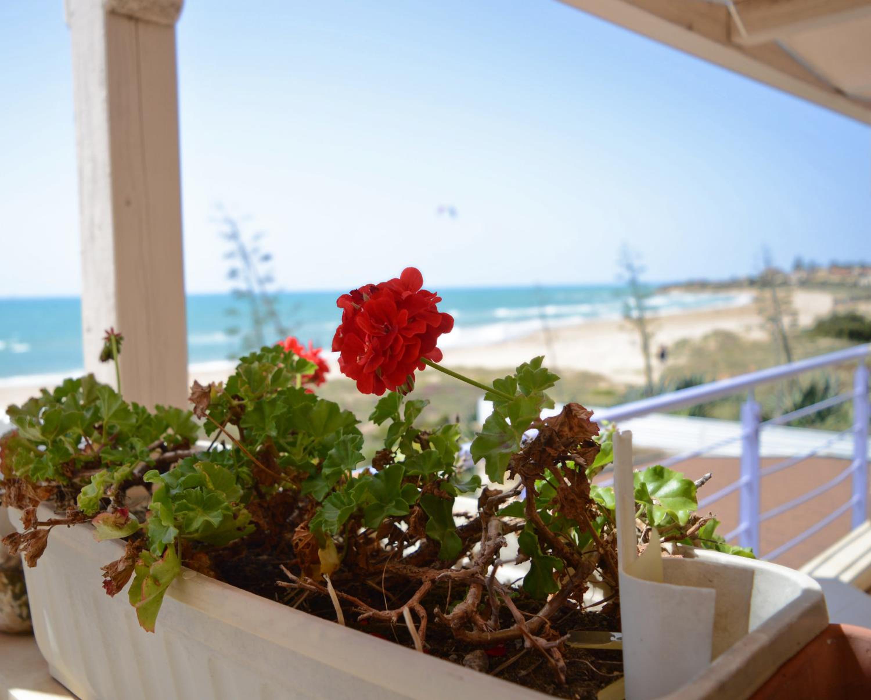 Double Room with Balcony and Sea View photo 3