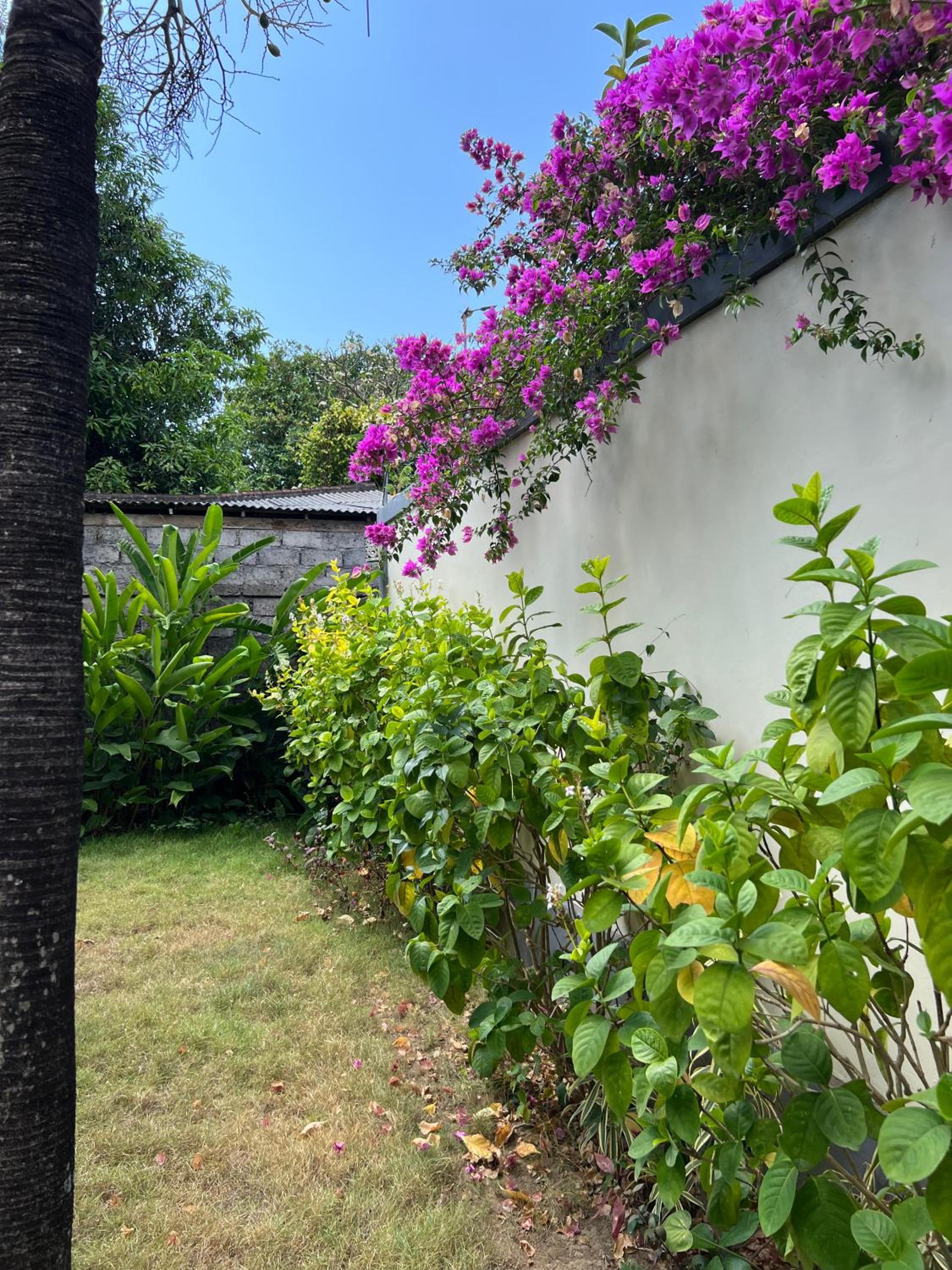 Deluxe Villa photo 3