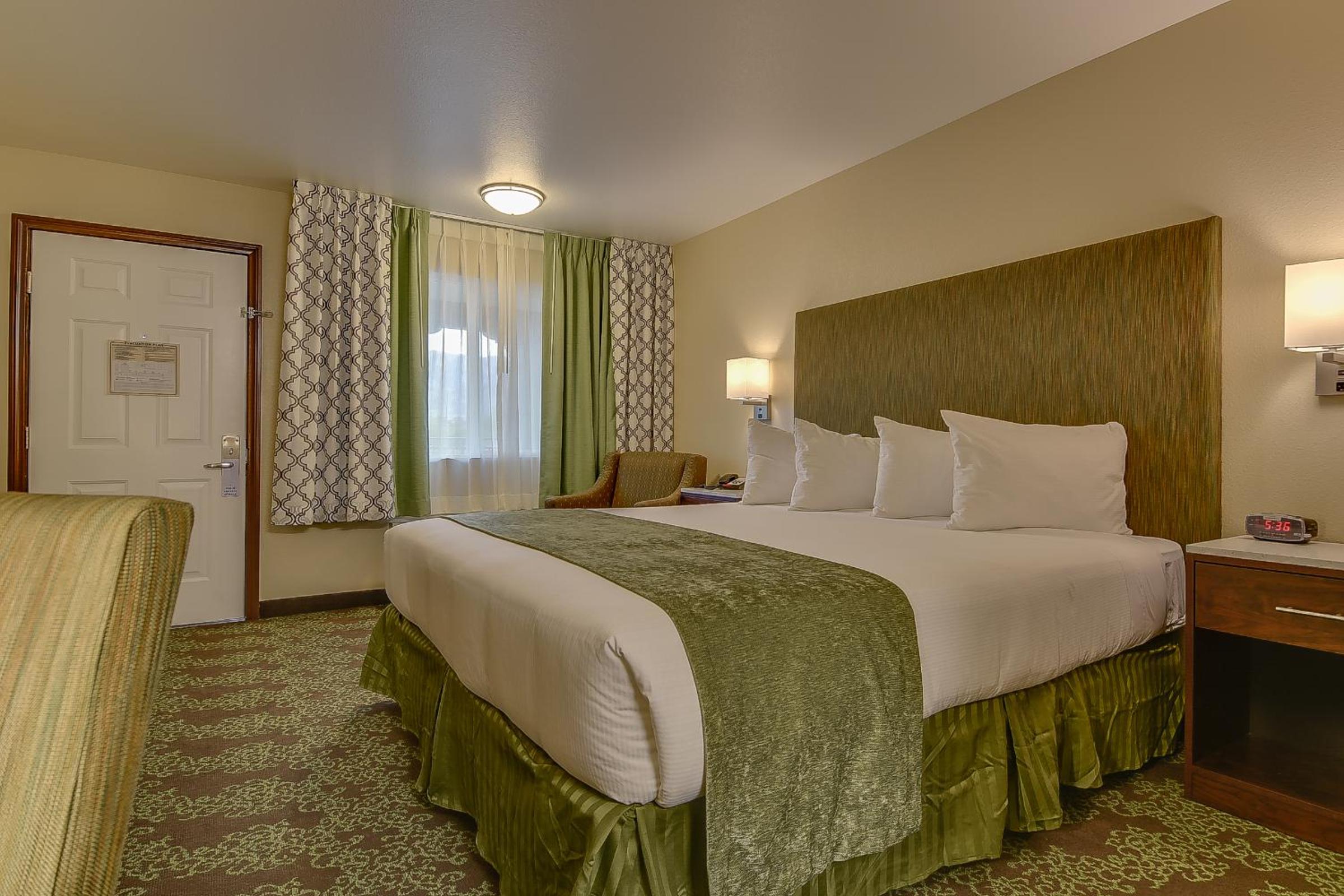King Room - Disability Access photo 2