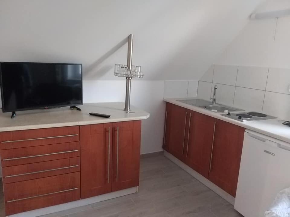 One-Bedroom Family Apartment photo 3