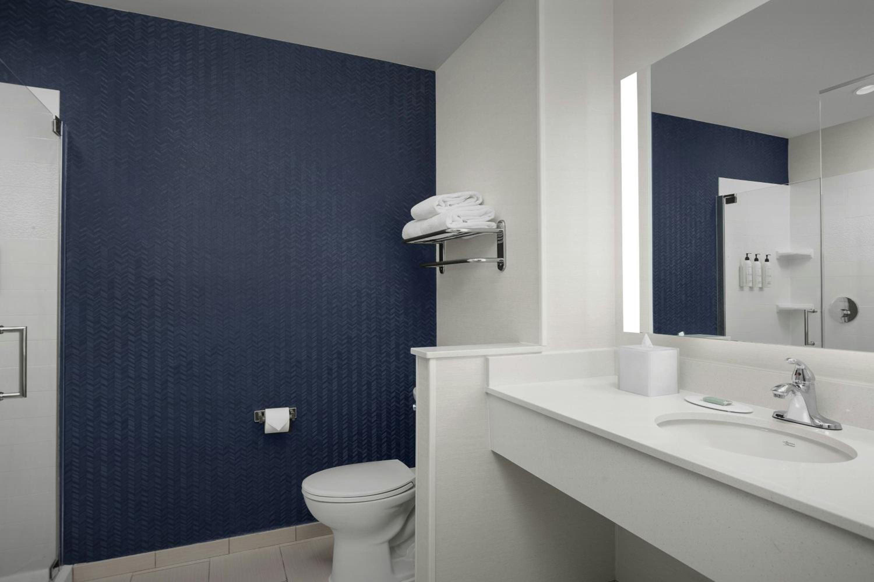 Studio with King Bed, Roll-In Shower and Sofa Bed - Mobility Access/Hearing Accessible photo 1