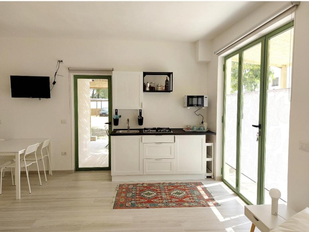 Studio with Garden View