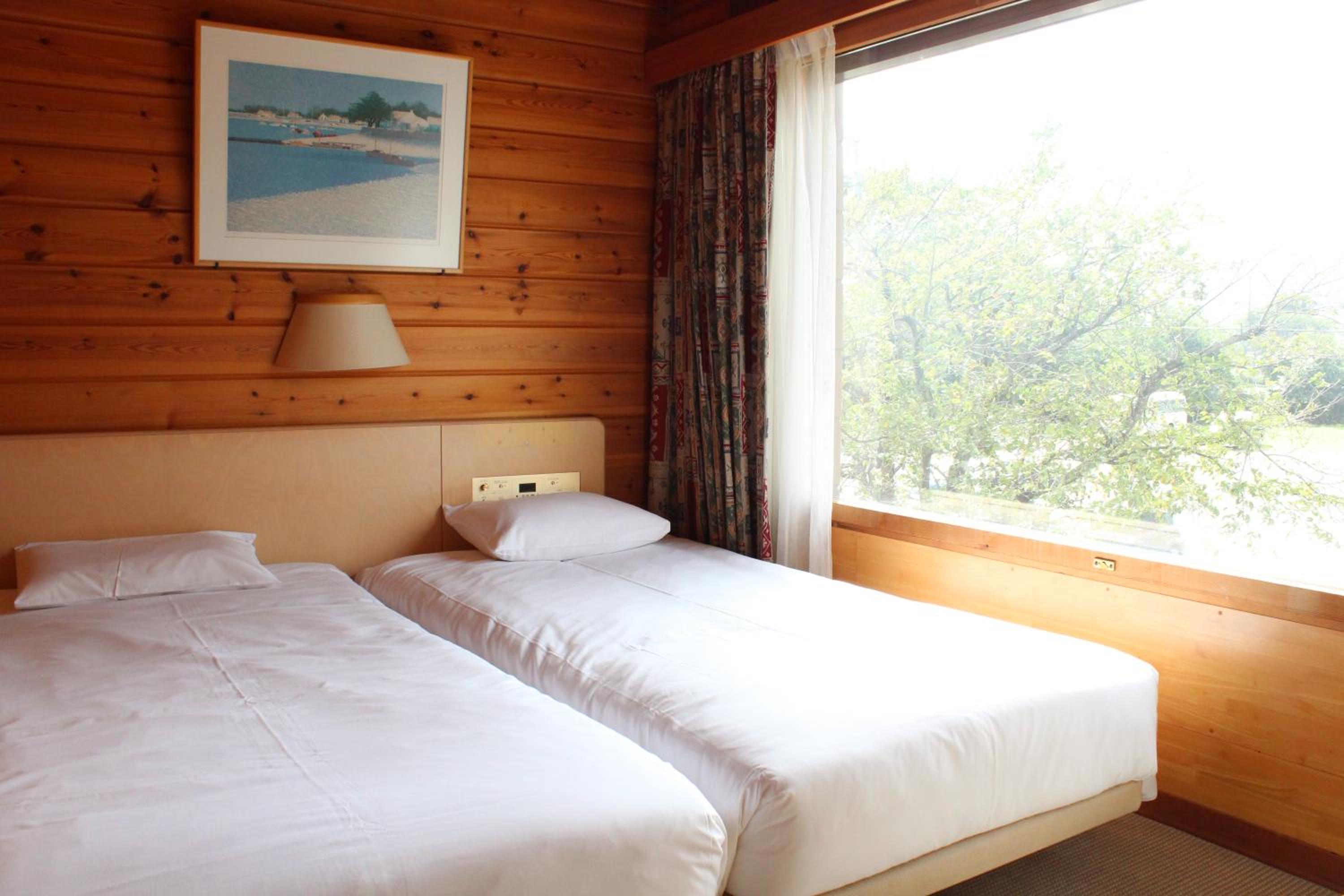 Economy Twin Room with Mountain View photo 2