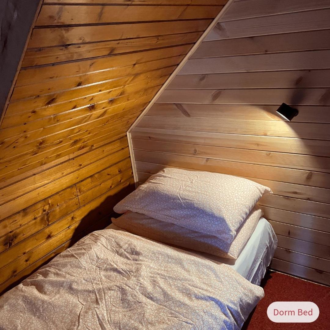 Single Bed in Mixed Dormitory Room photo 3