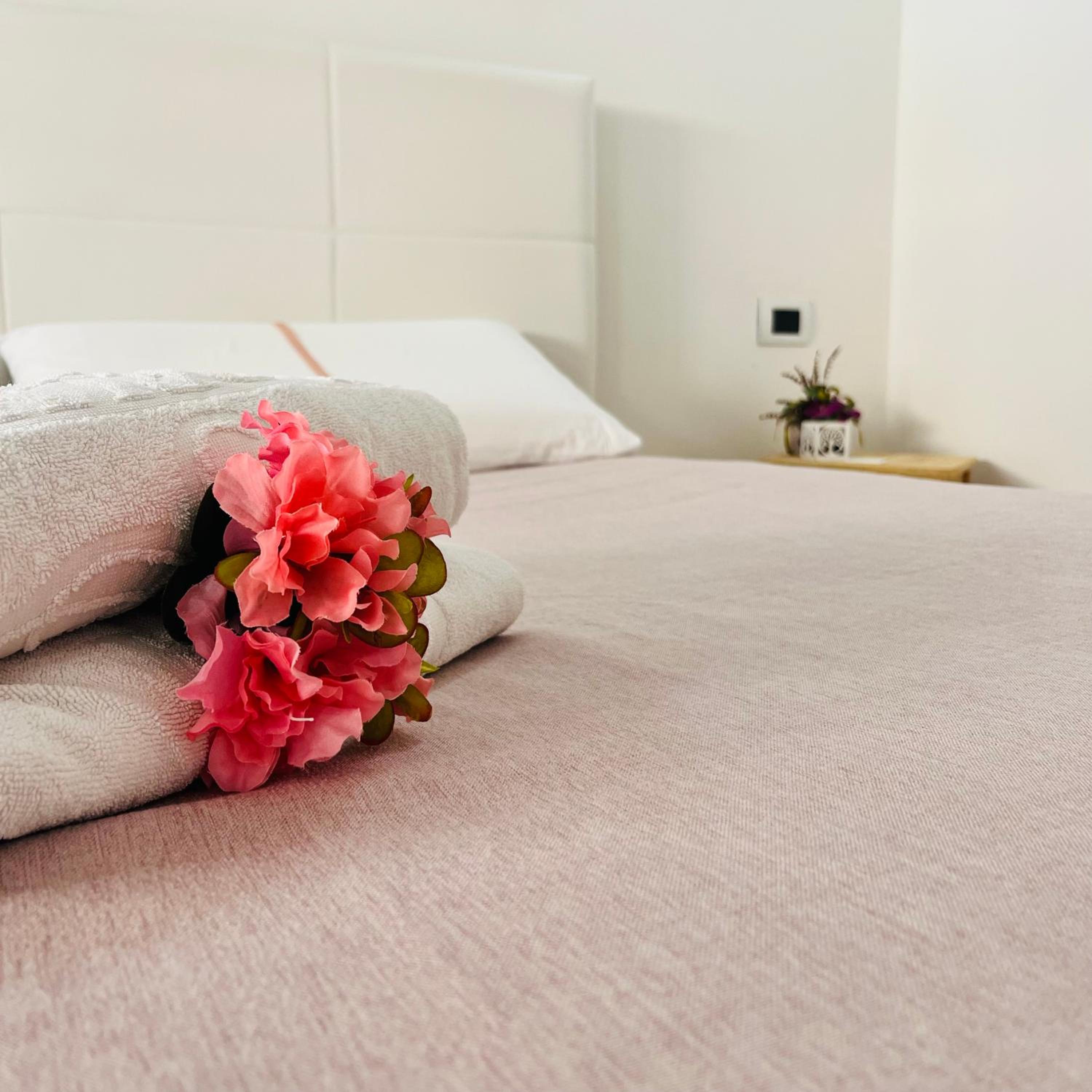 Large Double Room photo 1