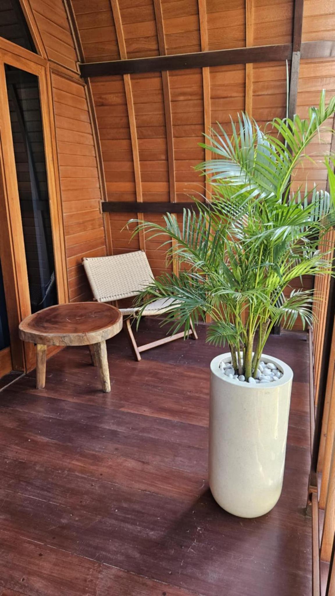 Bungalow with Garden View photo 3