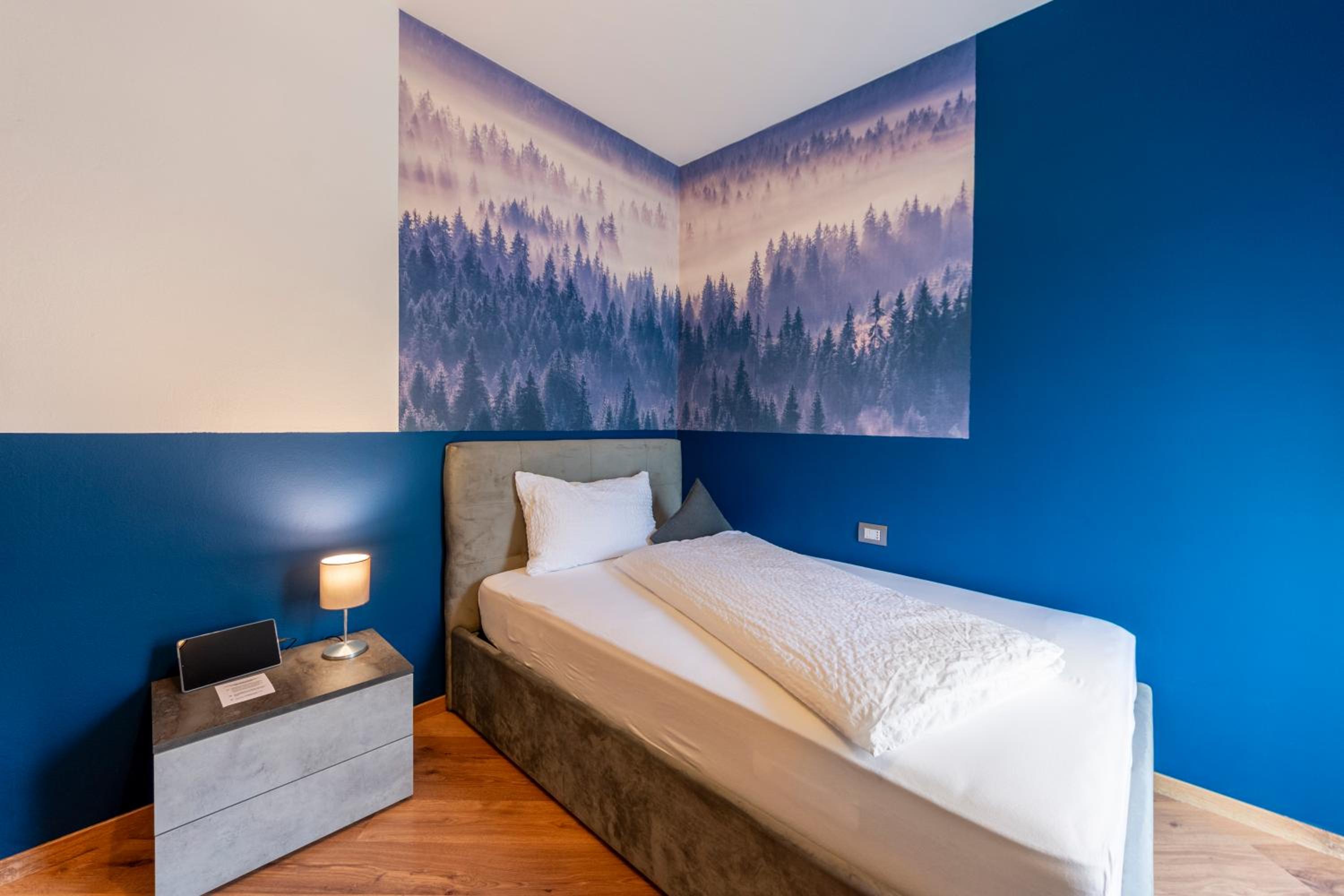 Deluxe Single Room photo 3