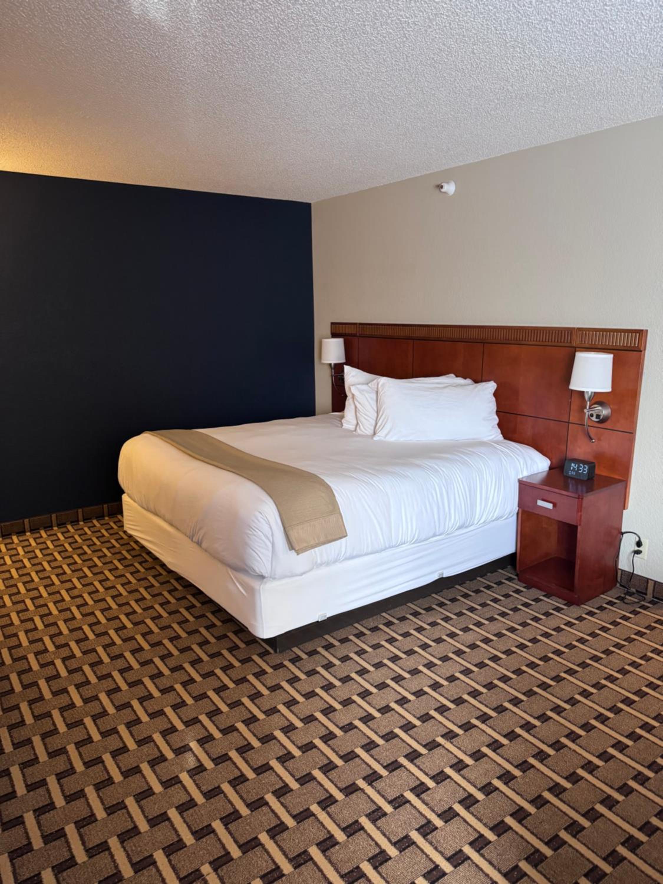 Deluxe King Suite photo 1