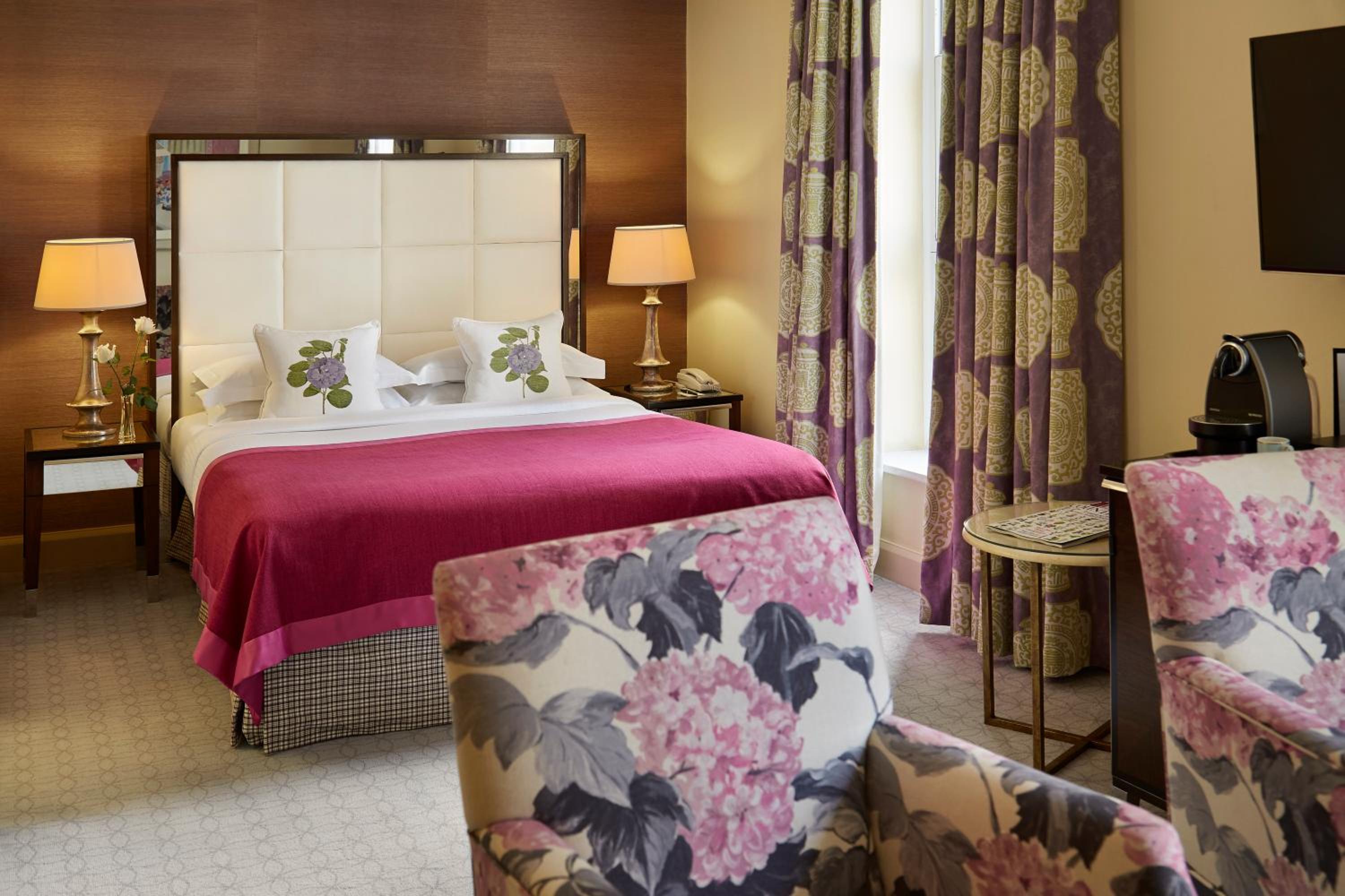 Superior Plus Room photo 3