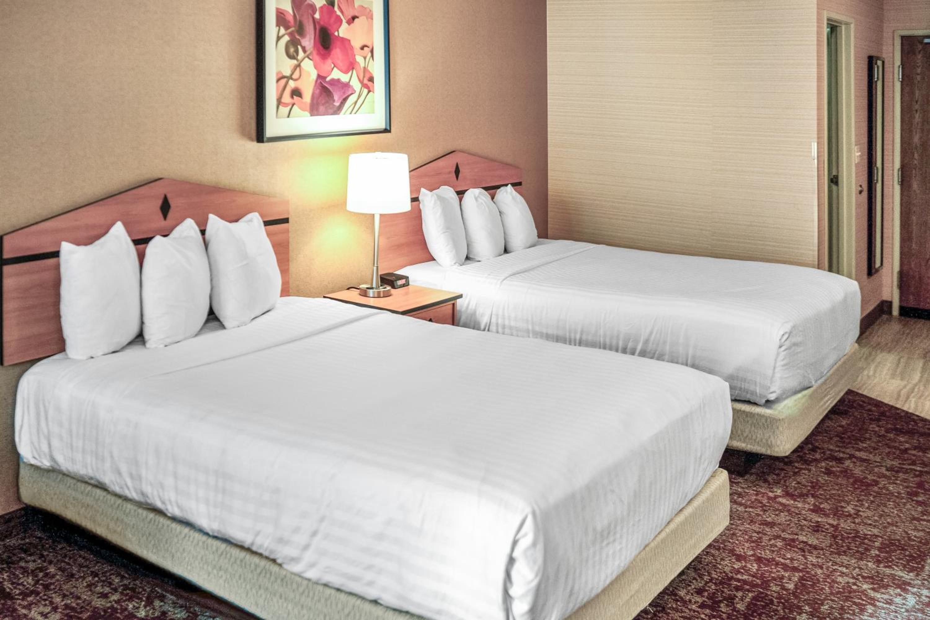 Queen Room with Two Queen Beds  - Photo 6