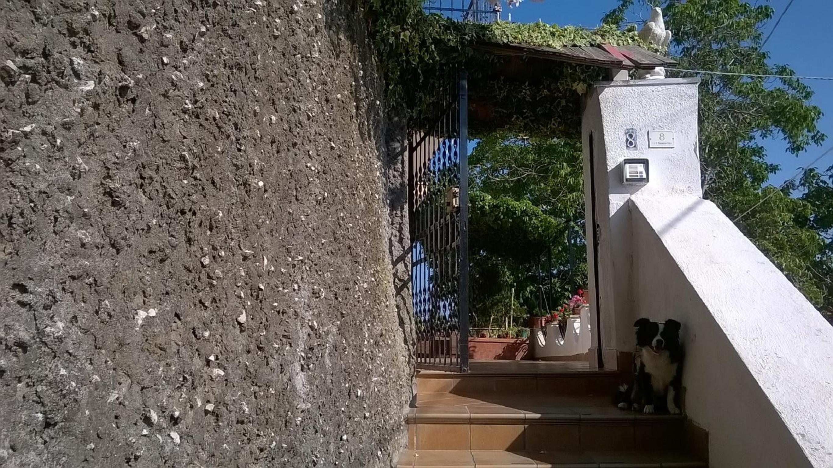 Apartment - Photo 21