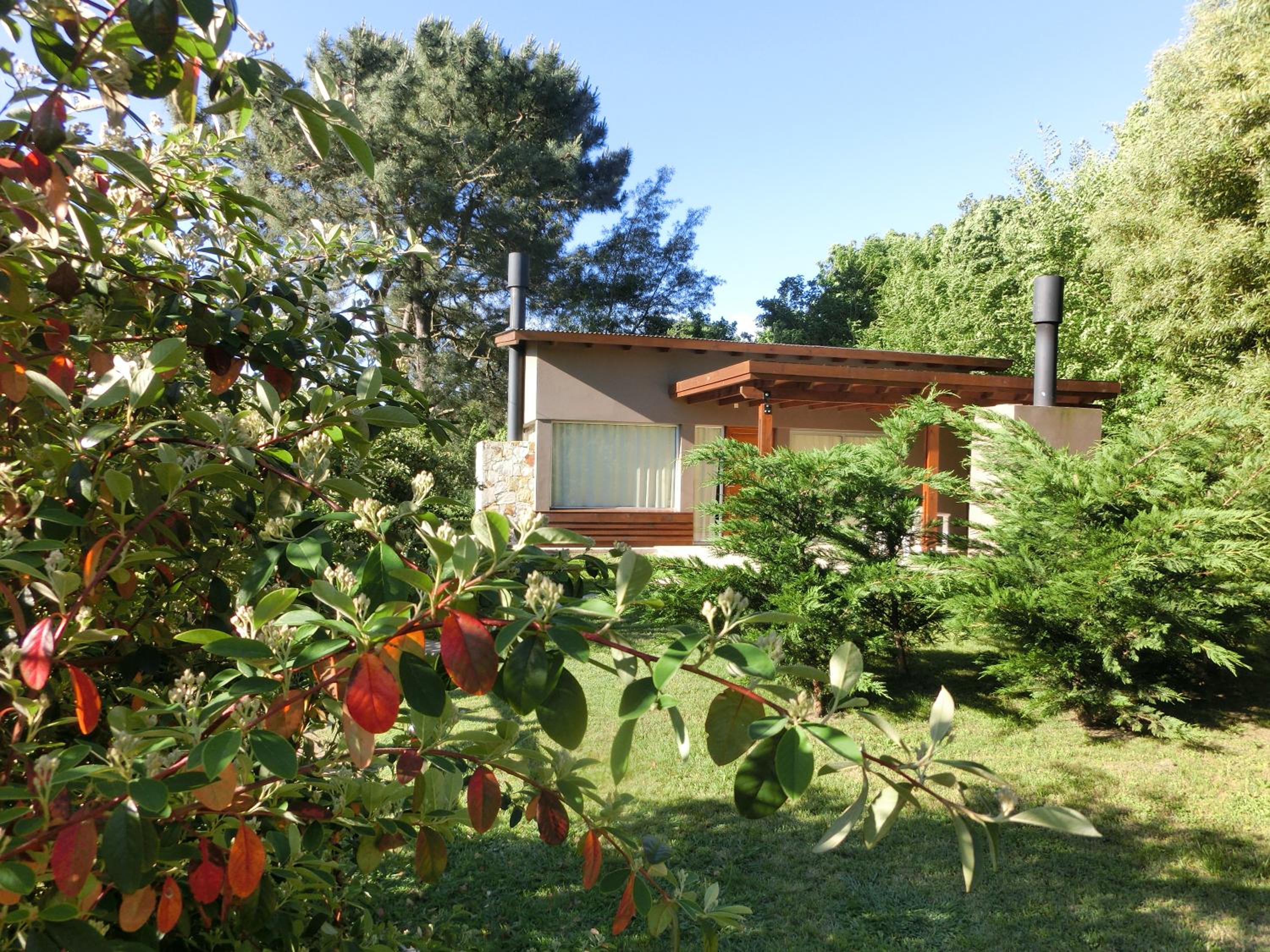 One-Bedroom House photo 3