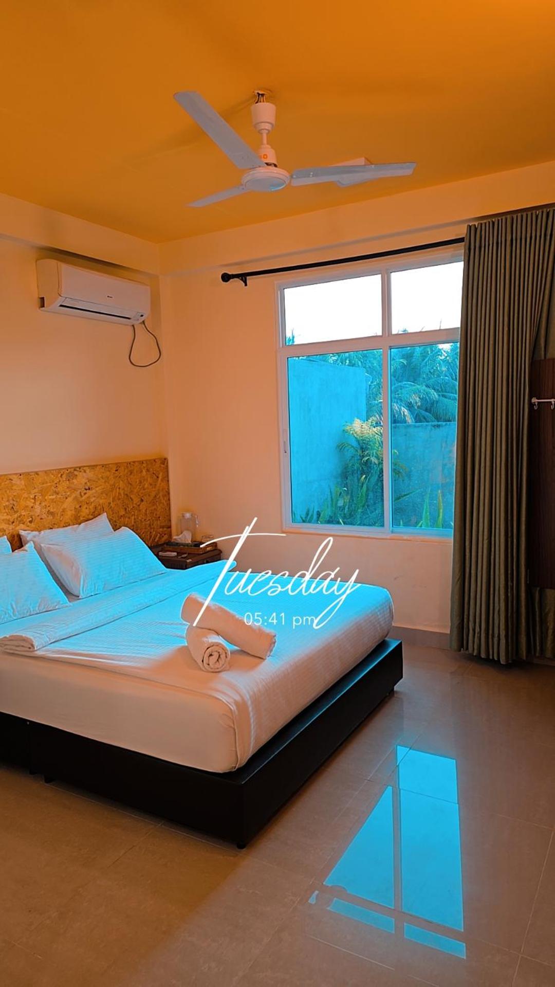 Single Room photo 3