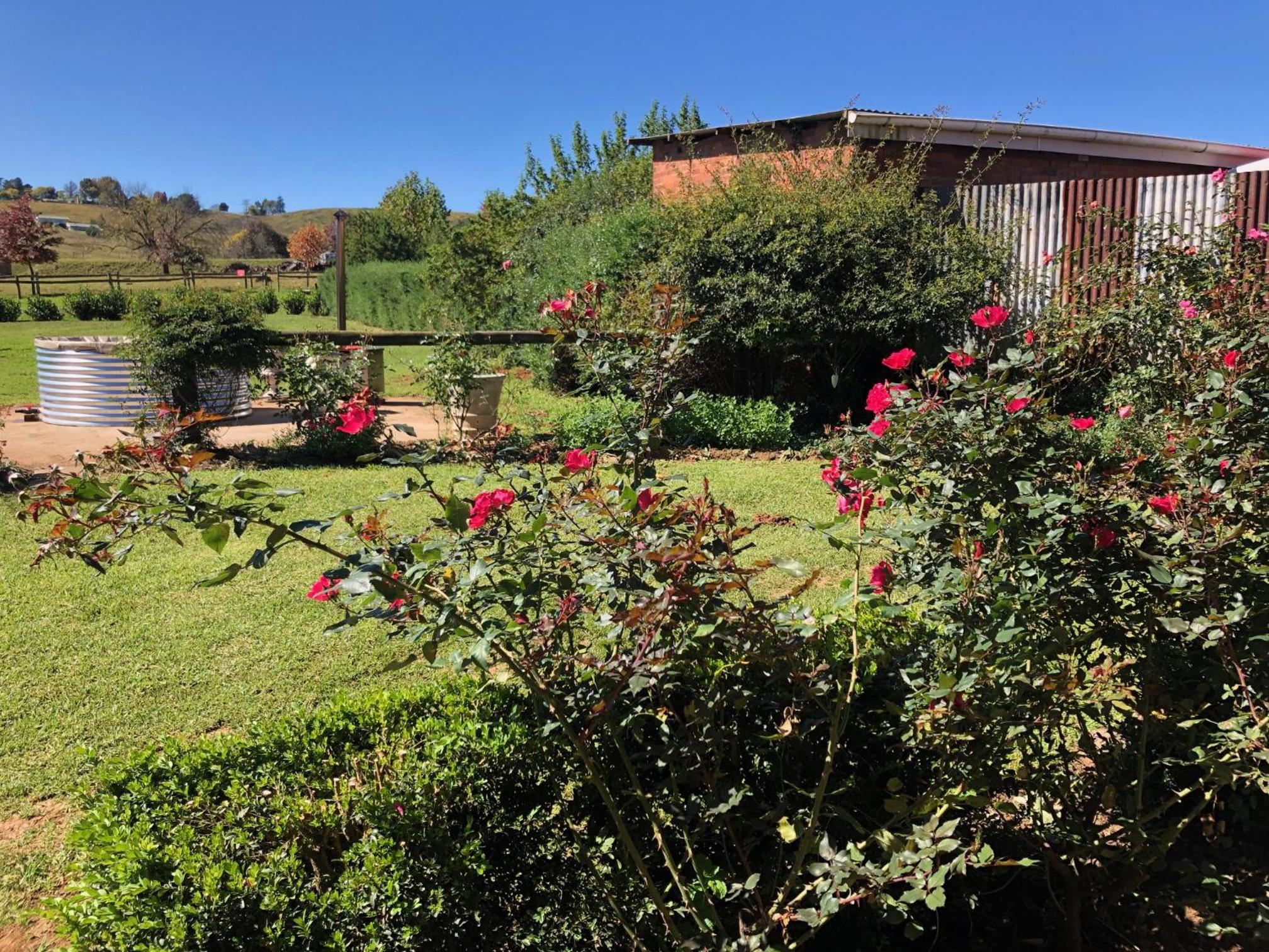 Deluxe Cottage - Photo 16