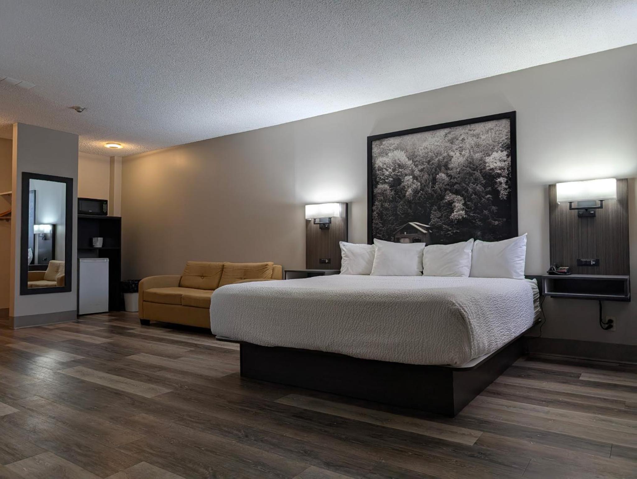 Studio Suite with One King Bed - Ground Floor - Non-Smoking - Photo 9