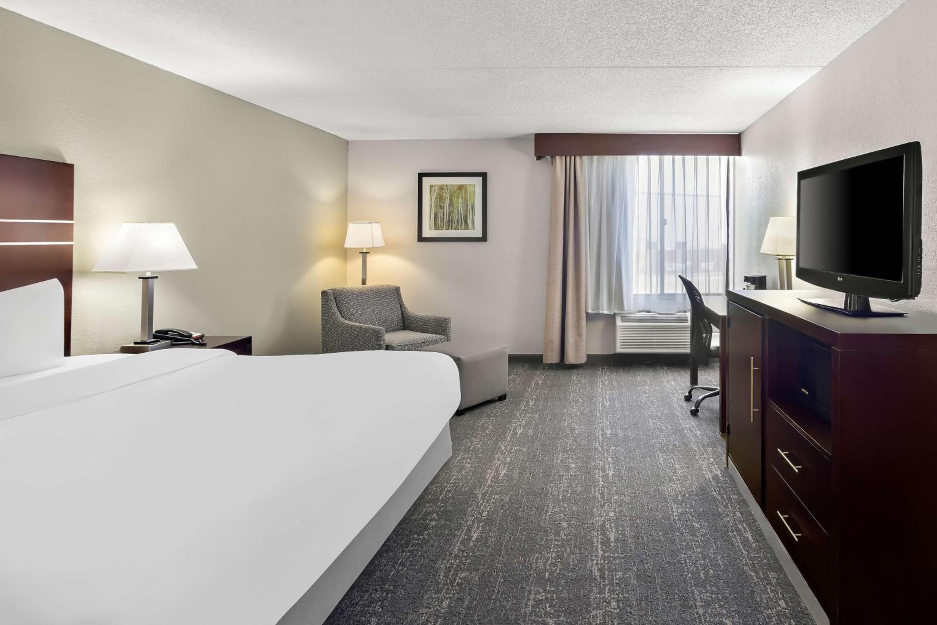 King Room - Pet Friendly/Non-Smoking - Photo 1