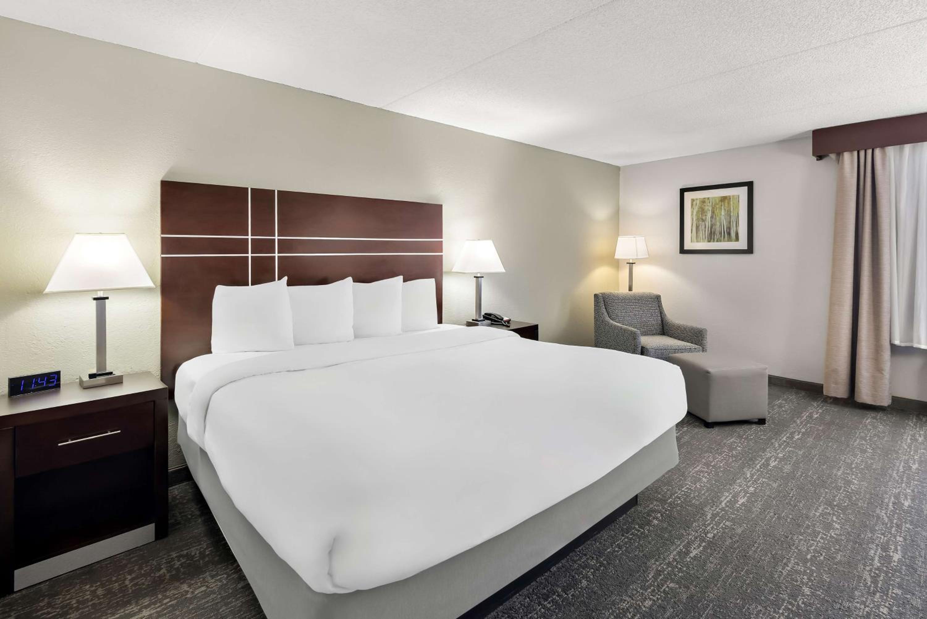 King Room - Pet Friendly/Non-Smoking - Photo 3