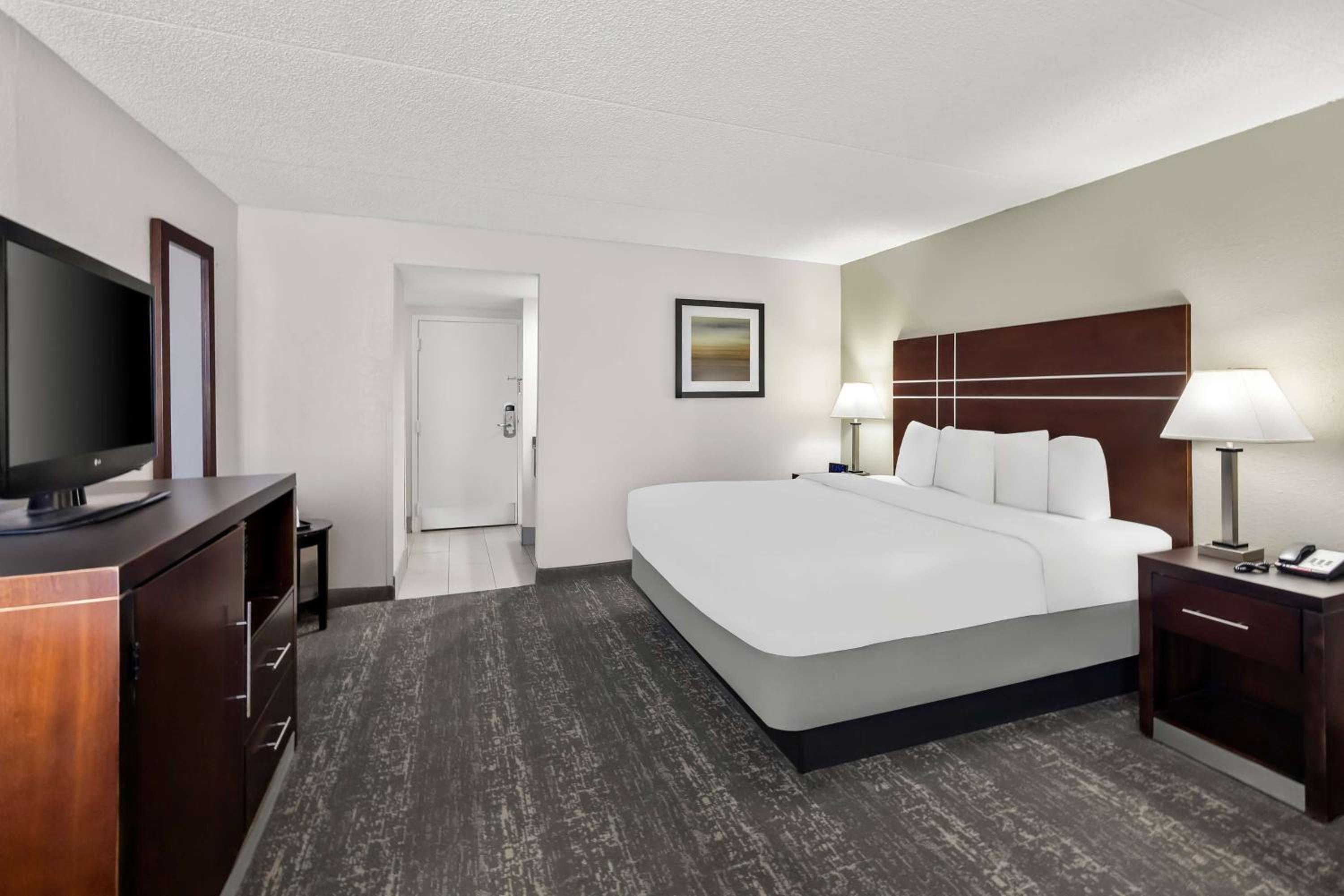 King Room - Pet Friendly/Non-Smoking - Photo 4