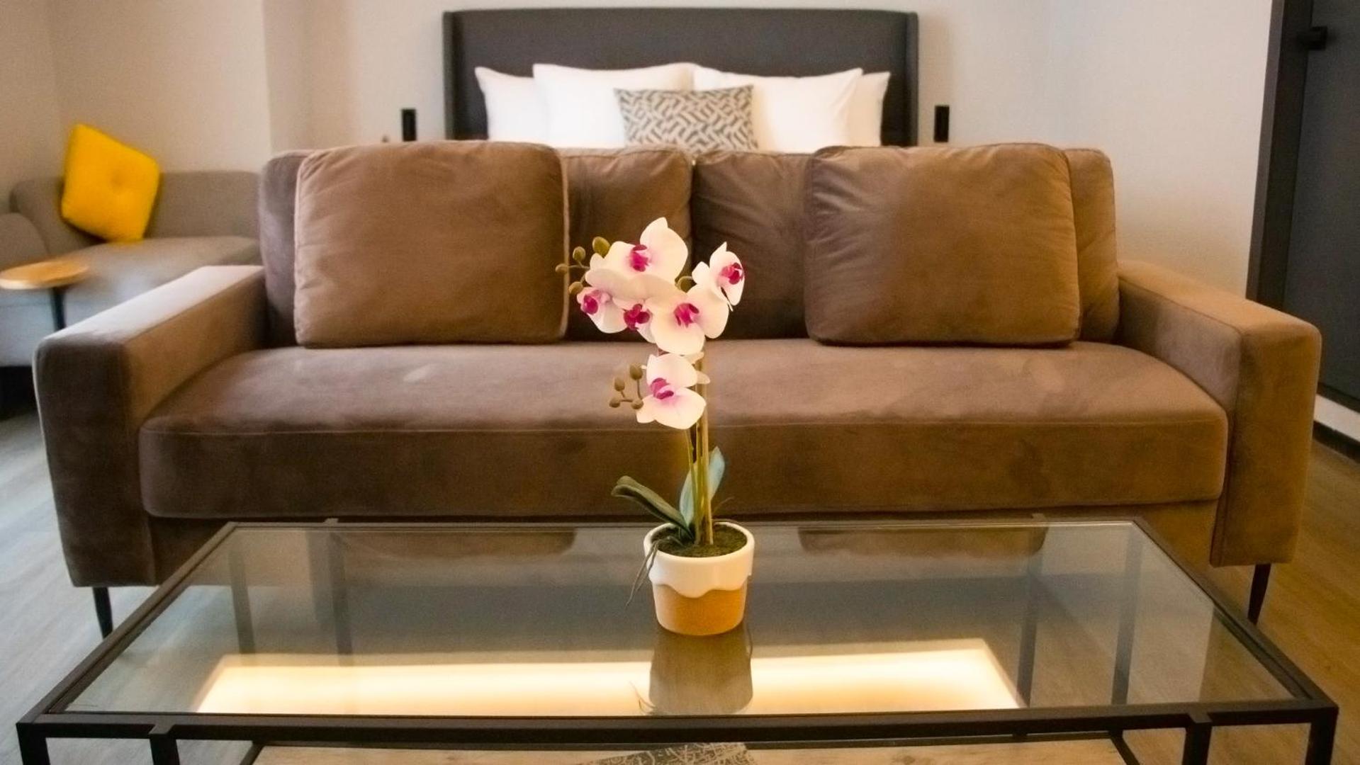 Standard Suite