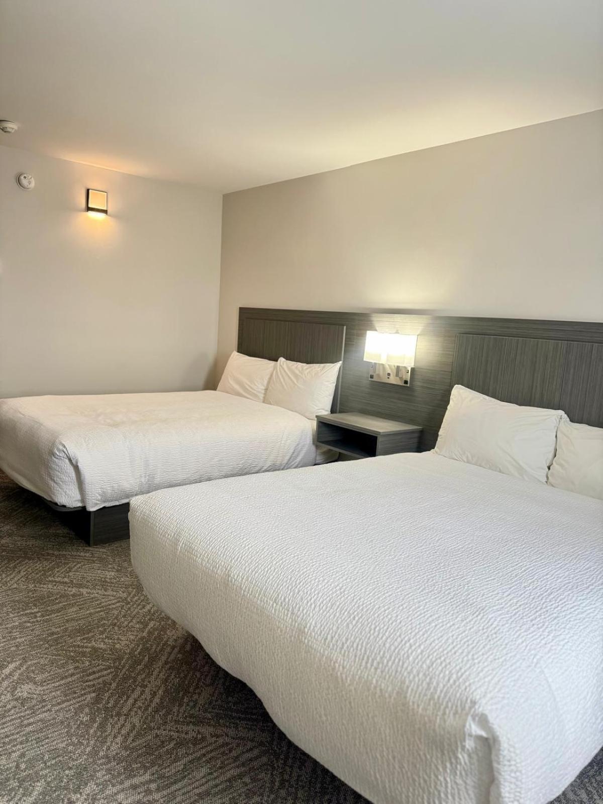 Queen Room with Two Queen Beds and Bath Tub - Disability Access - Photo 5