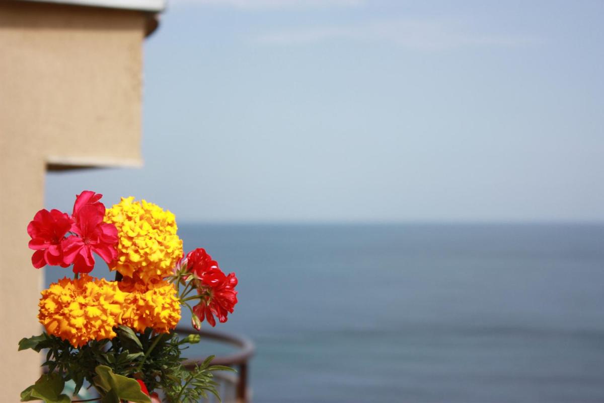 Double Room with Balcony photo 3