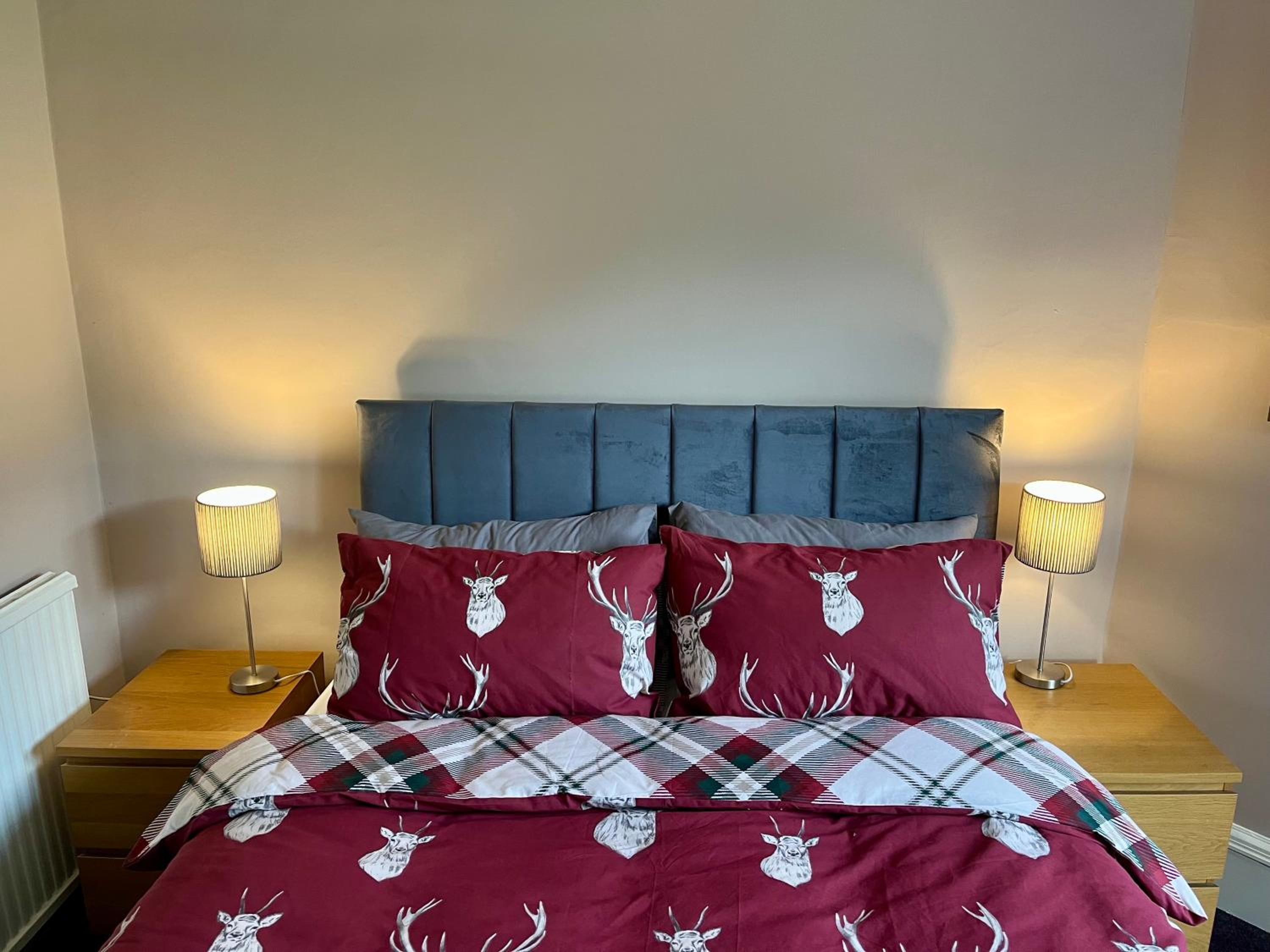 King Room photo 1