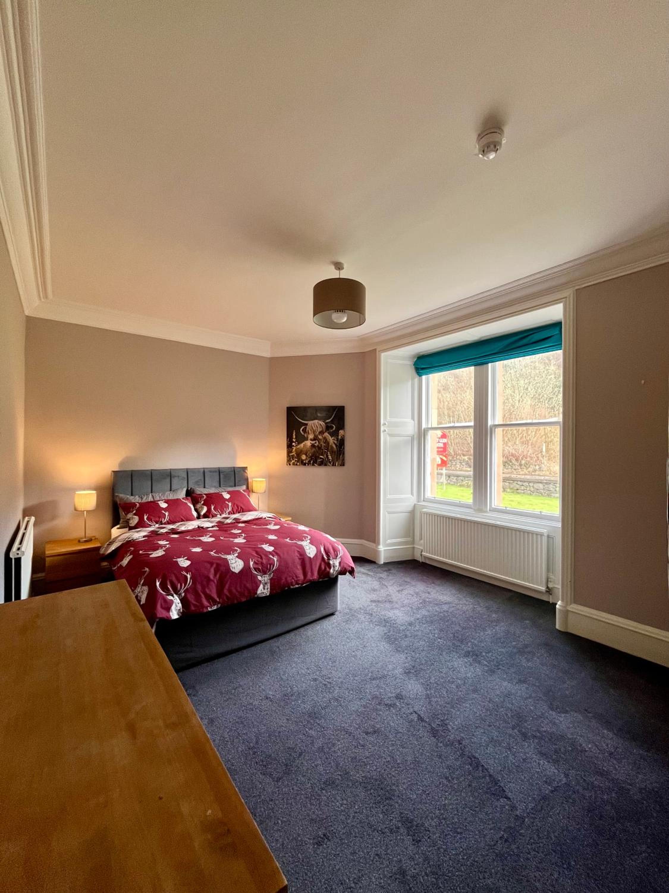 King Room photo 2