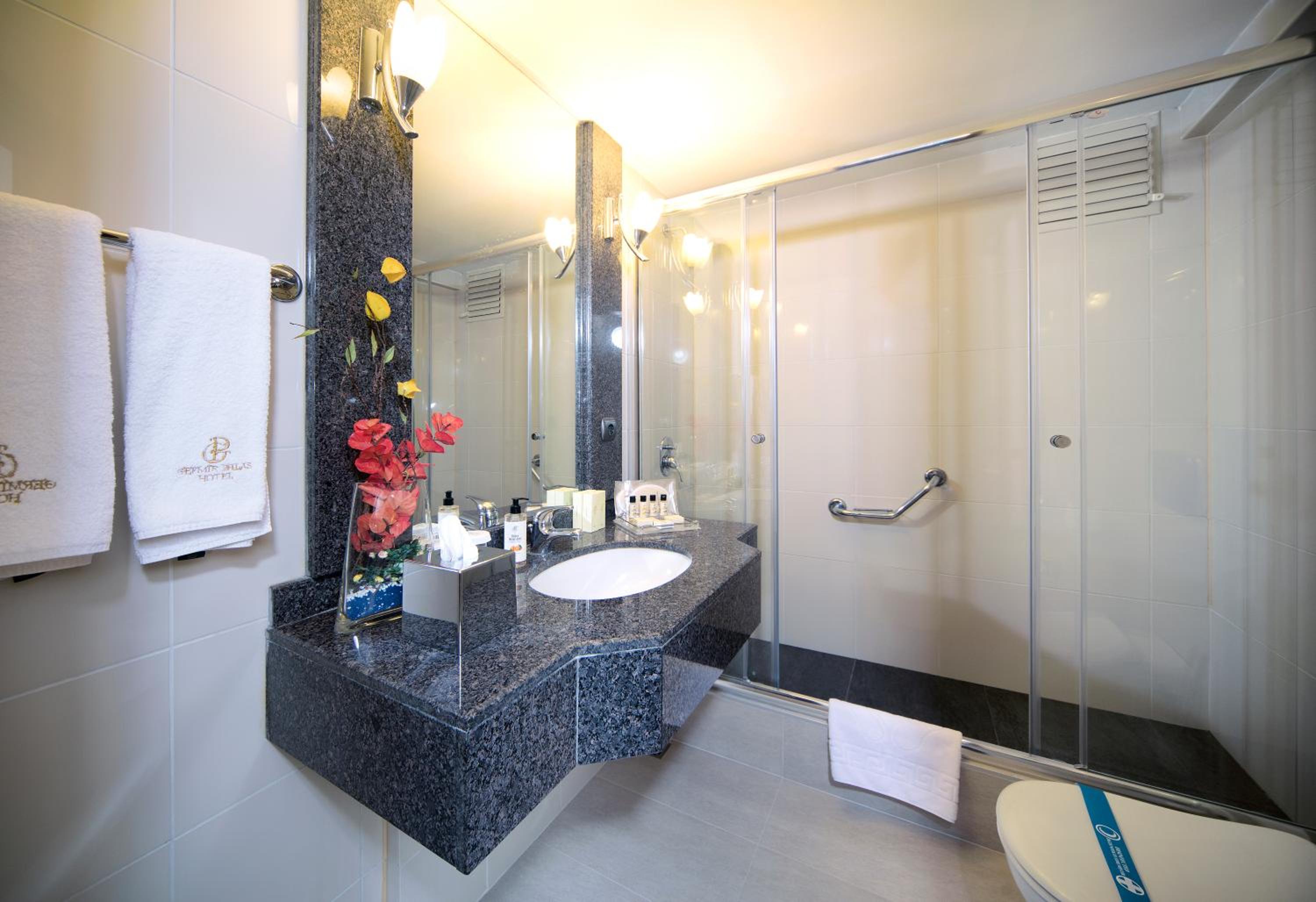 Deluxe Double Room with Park View photo 3