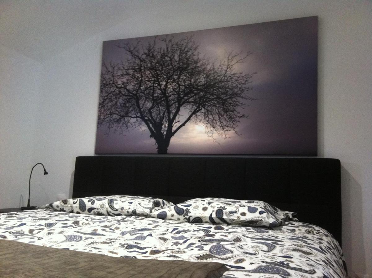 Apartment with Terrace photo 1