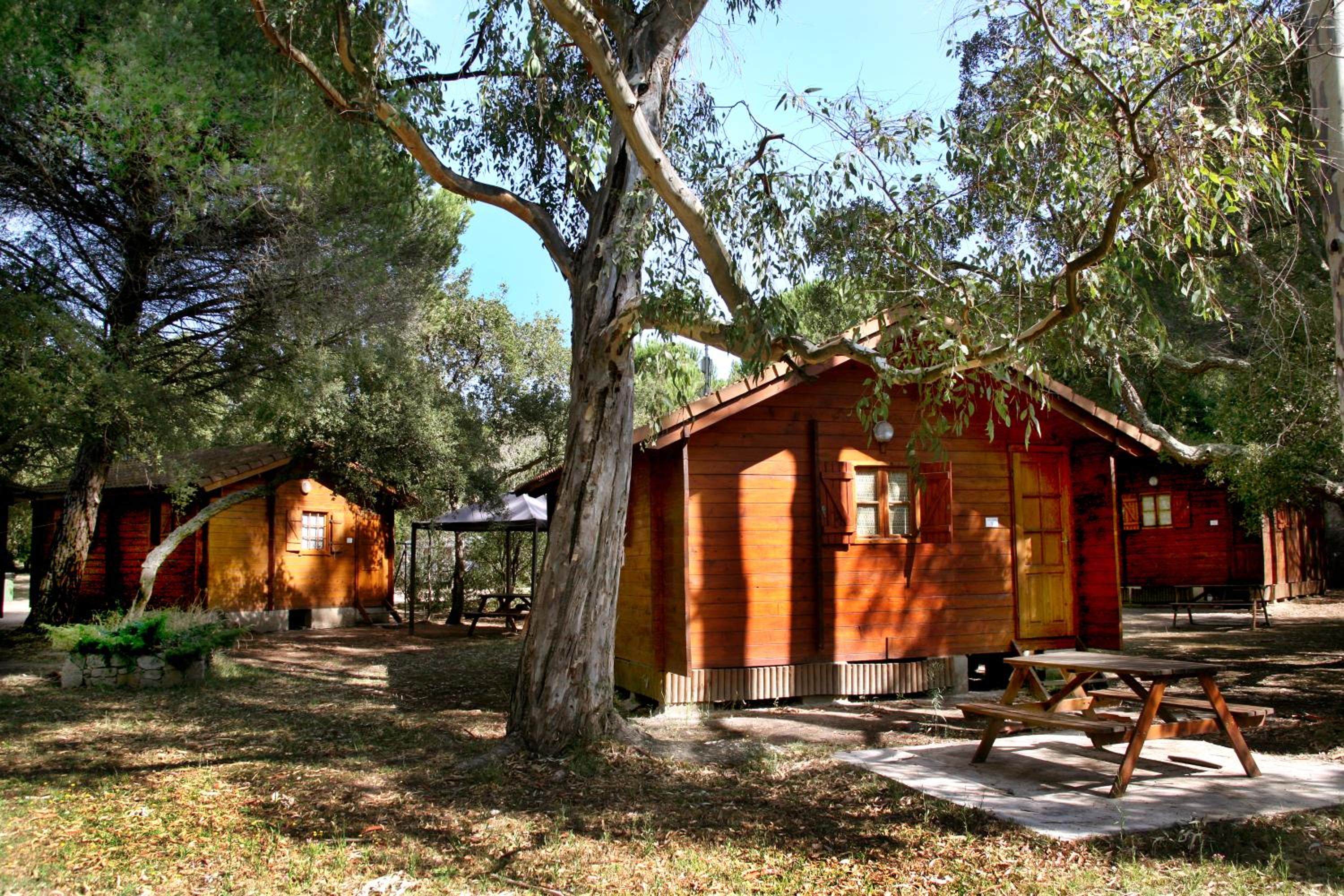 Two-Bedroom Chalet photo 1