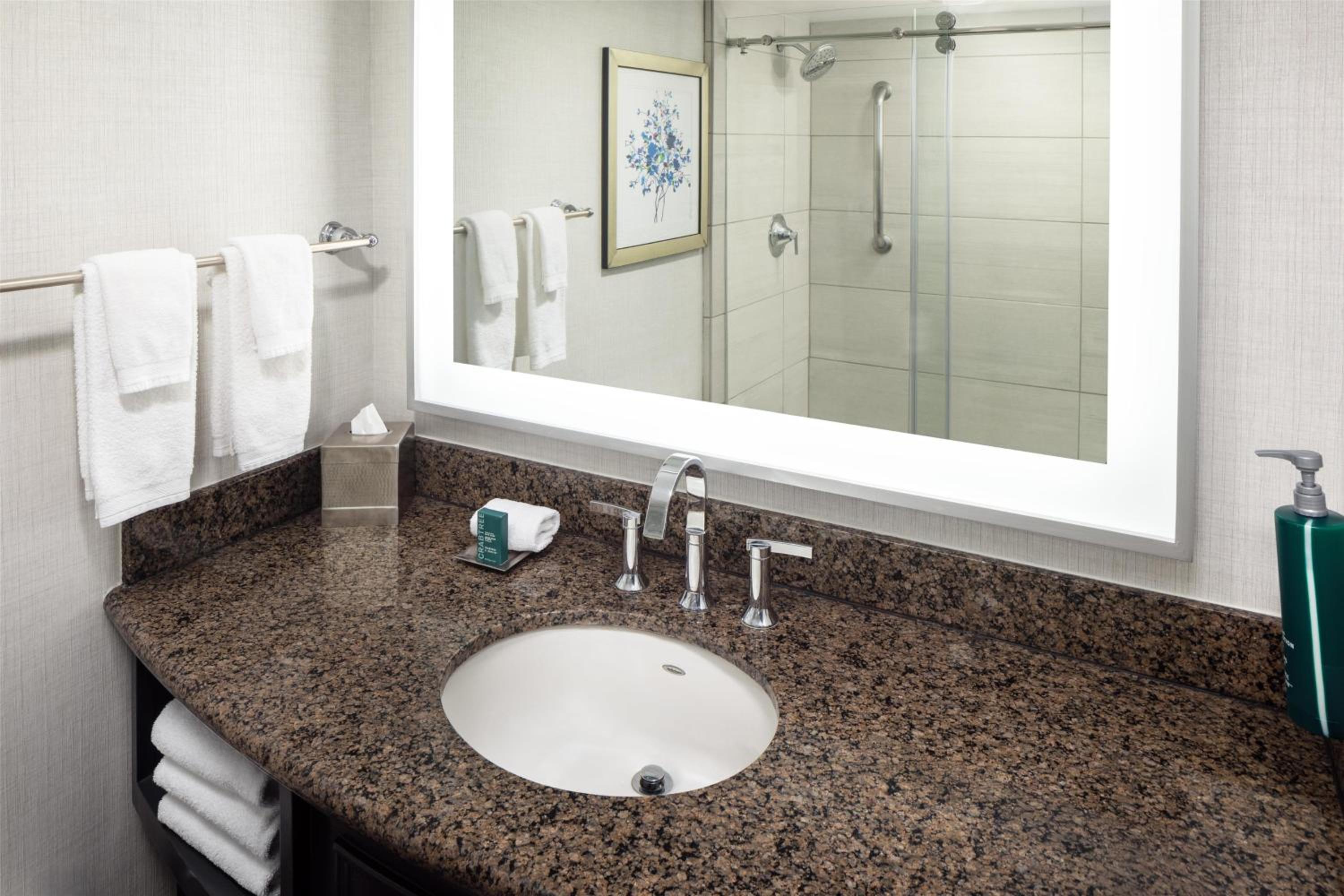 Parlor King Suite with Two Bathroom - Photo 3