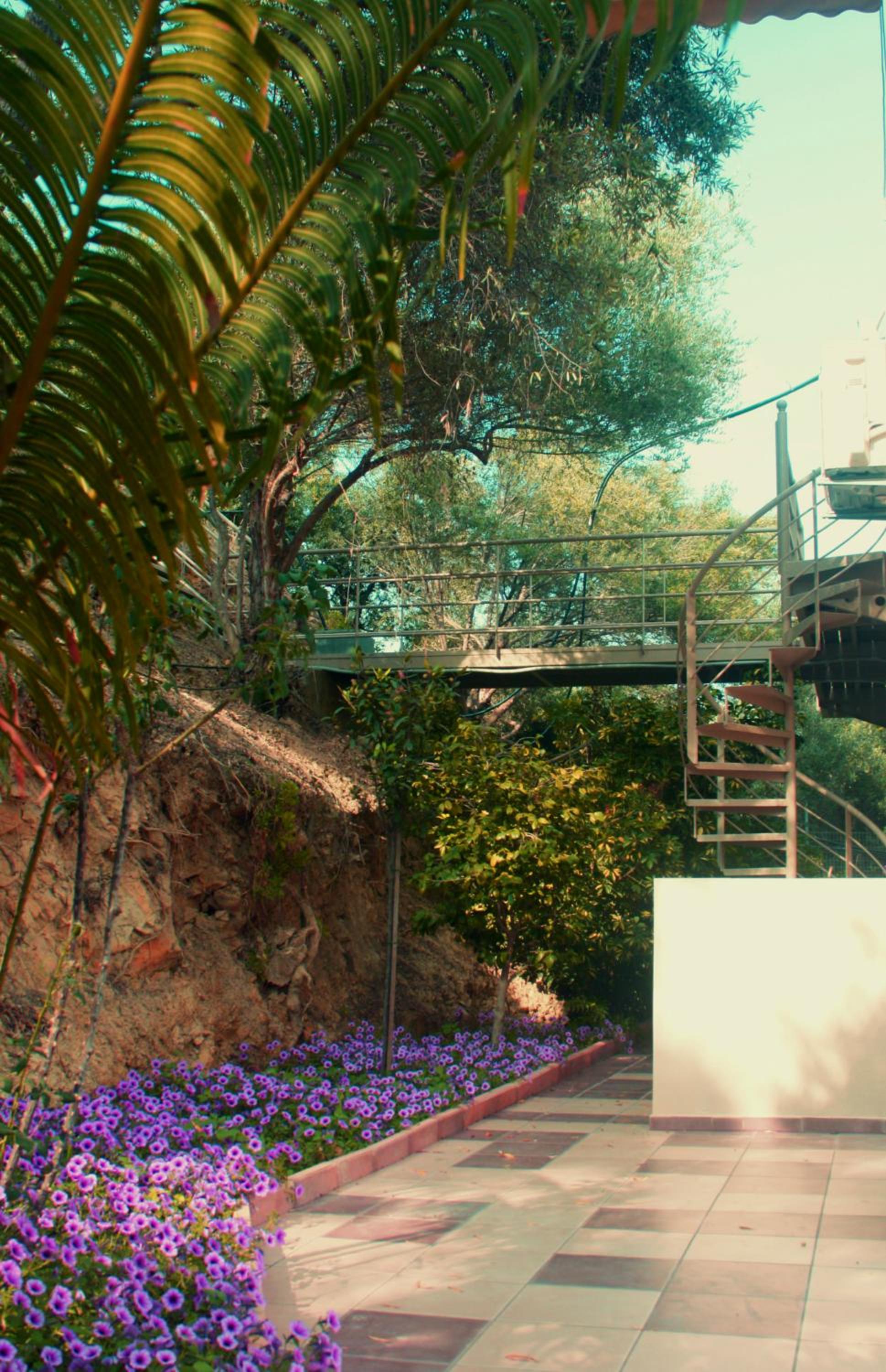 Superior Villa photo 3